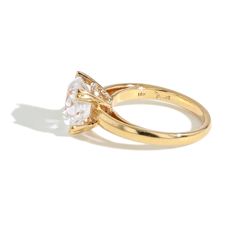 Robert Pelliccia Breathless Engagement Setting