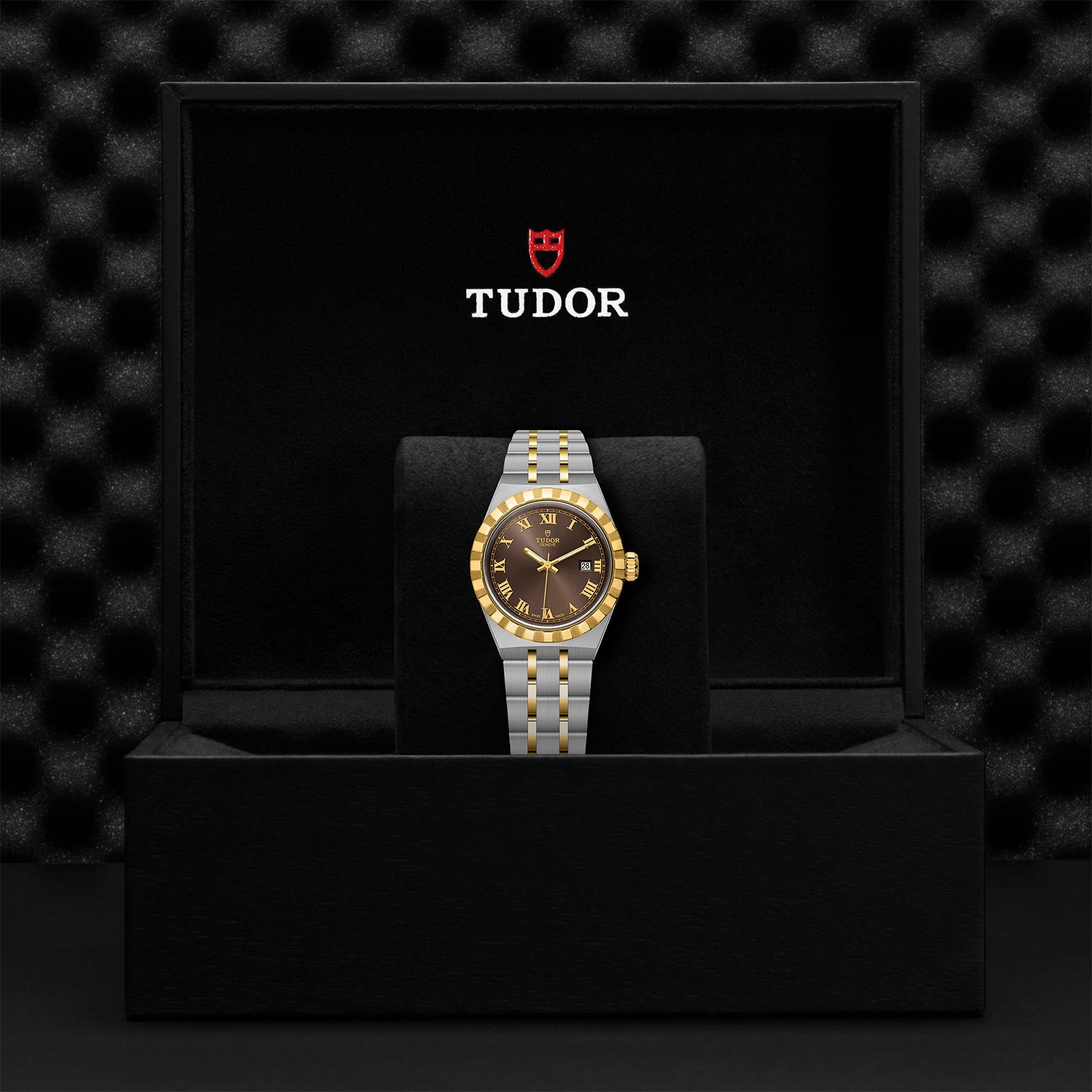 TUDOR Royal with 28mm Steel Case and Yellow Gold Bezel