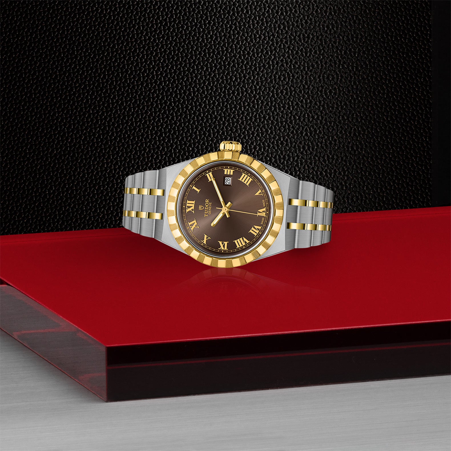 TUDOR Royal with 28mm Steel Case and Yellow Gold Bezel