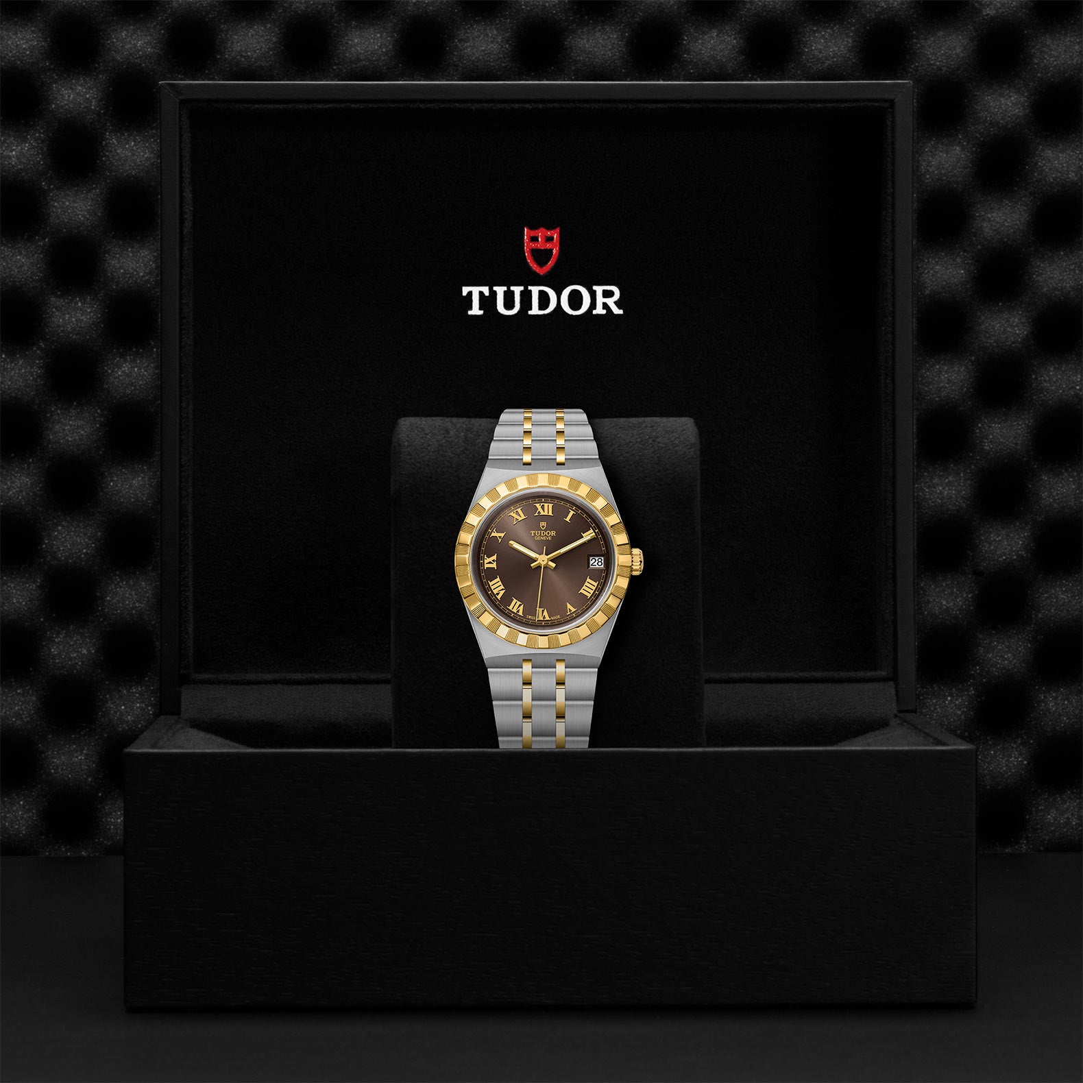 TUDOR Royal with 34mm Steel Case and Yellow Gold Bezel