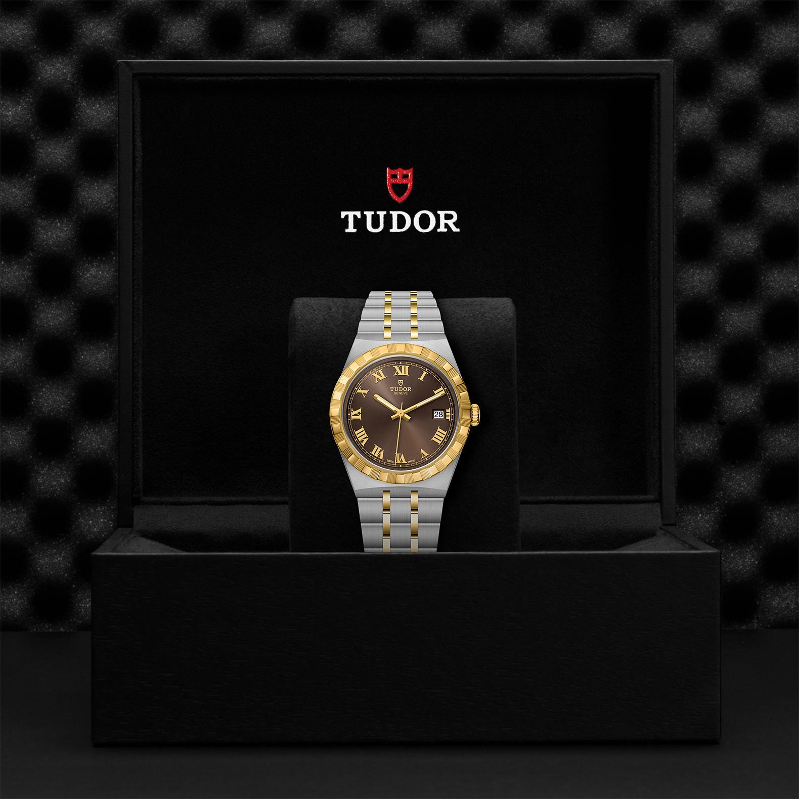 TUDOR Royal with 38mm Steel Case and Yellow Gold Bezel