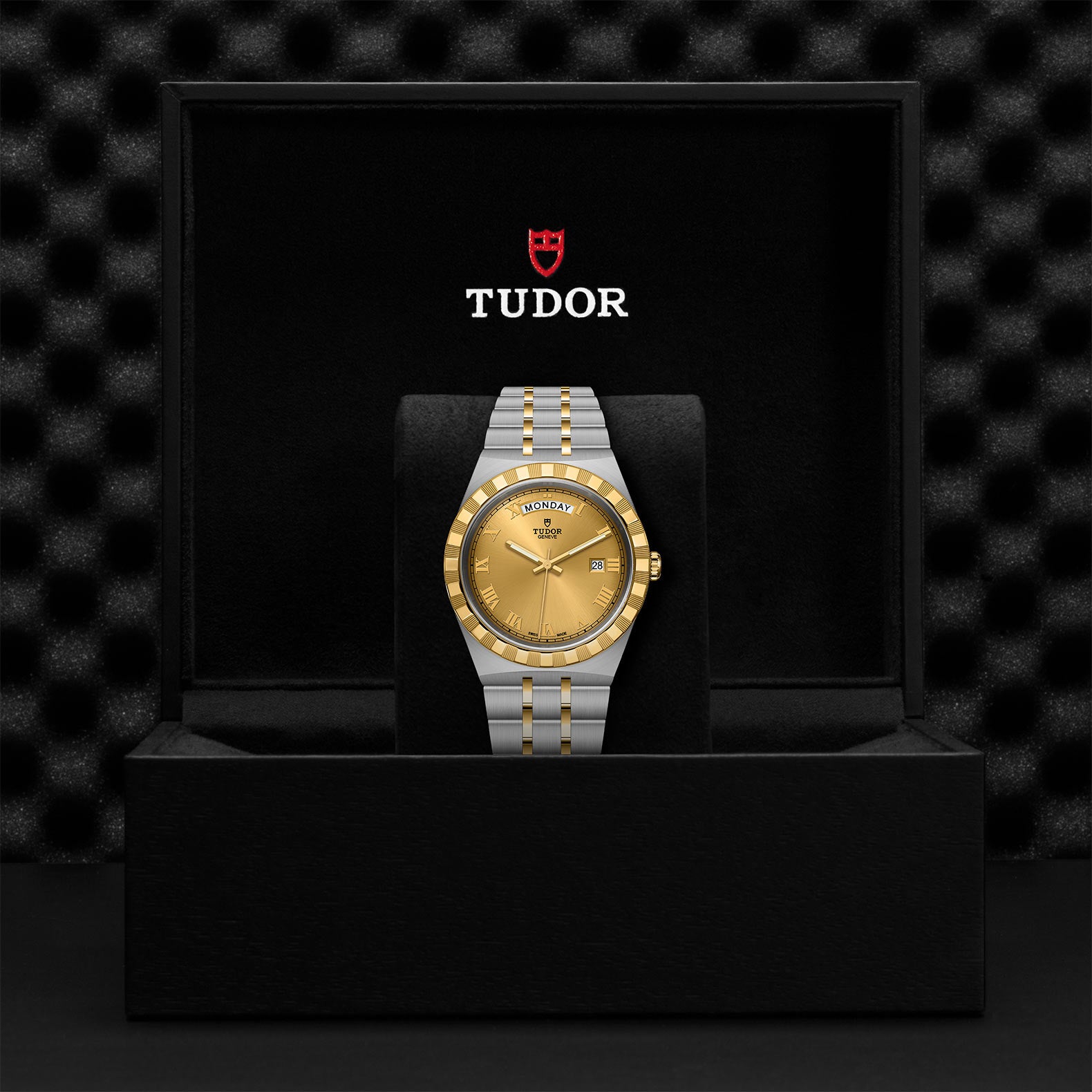 TUDOR Royal with 41mm Steel Case and Yellow Gold Bezel