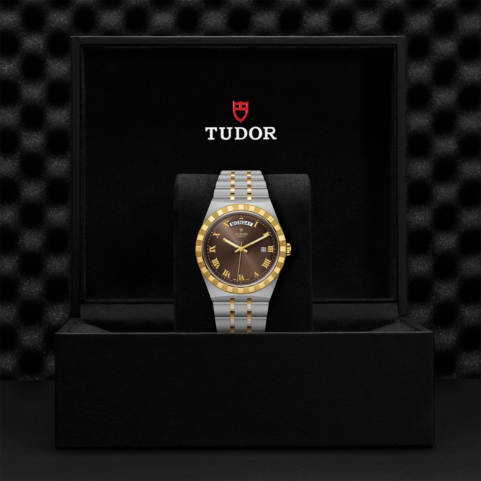 TUDOR Royal with 41mm Steel Case and Yellow Gold Bezel