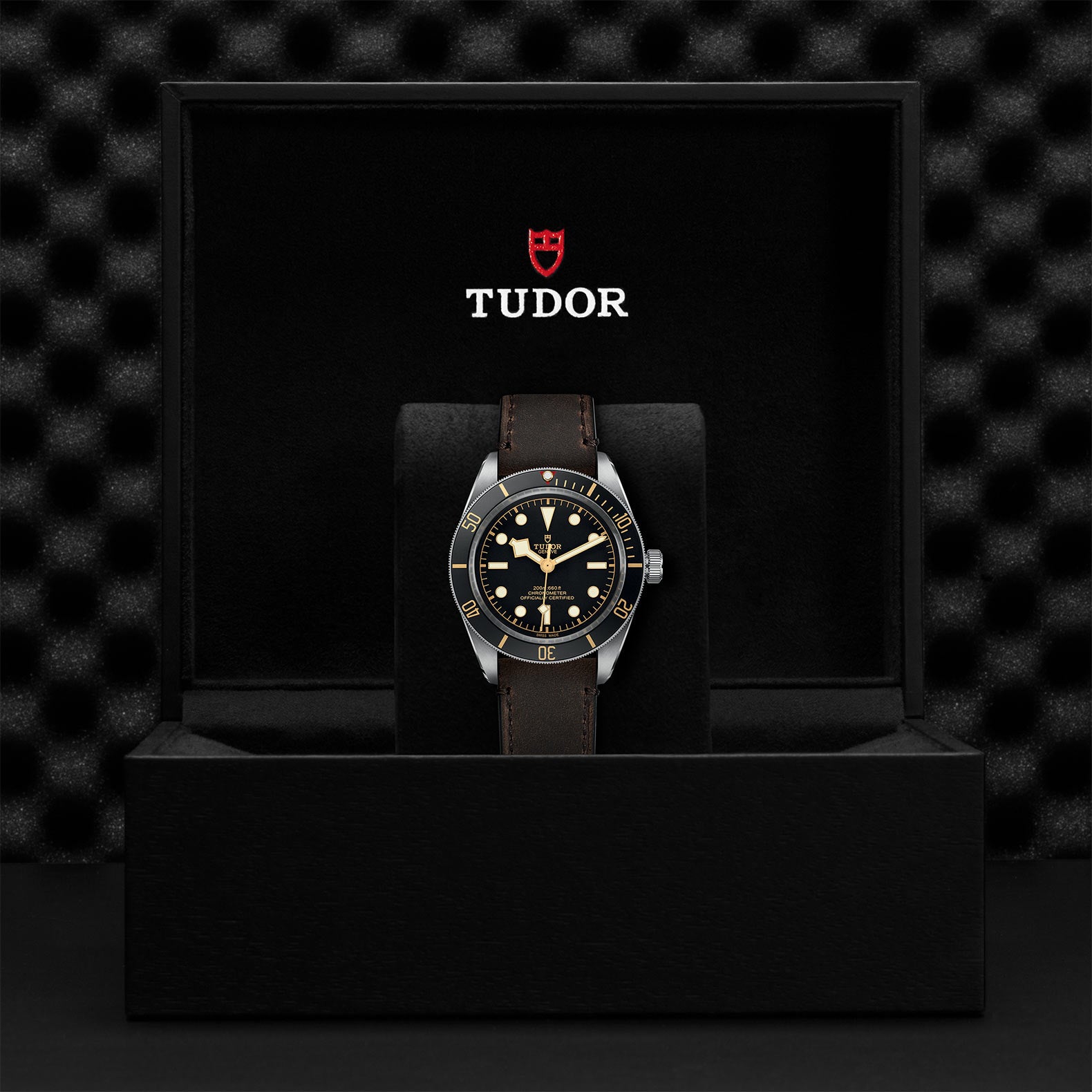 TUDOR Black Bay 58 with 39mm Steel Case and Brown Leather Strap