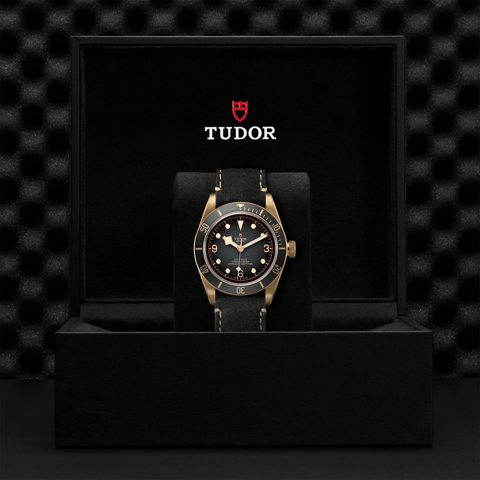 TUDOR Black Bay Bronze with 43mm Bronze Case and Black Leather Strap