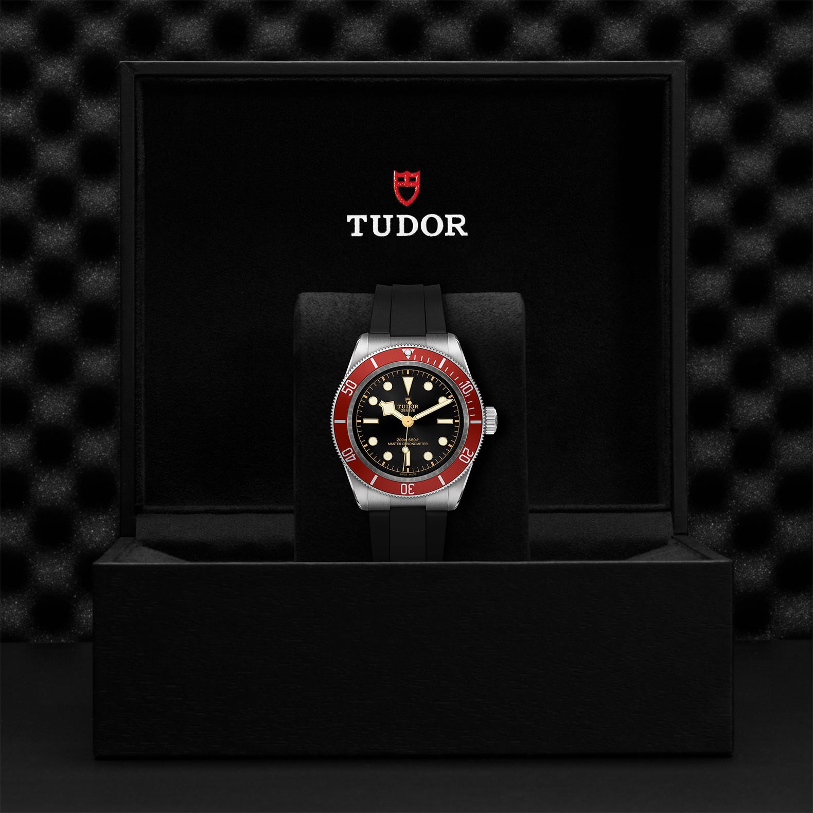 TUDOR Black Bay with 41mm Steel Case and Black Rubber Strap