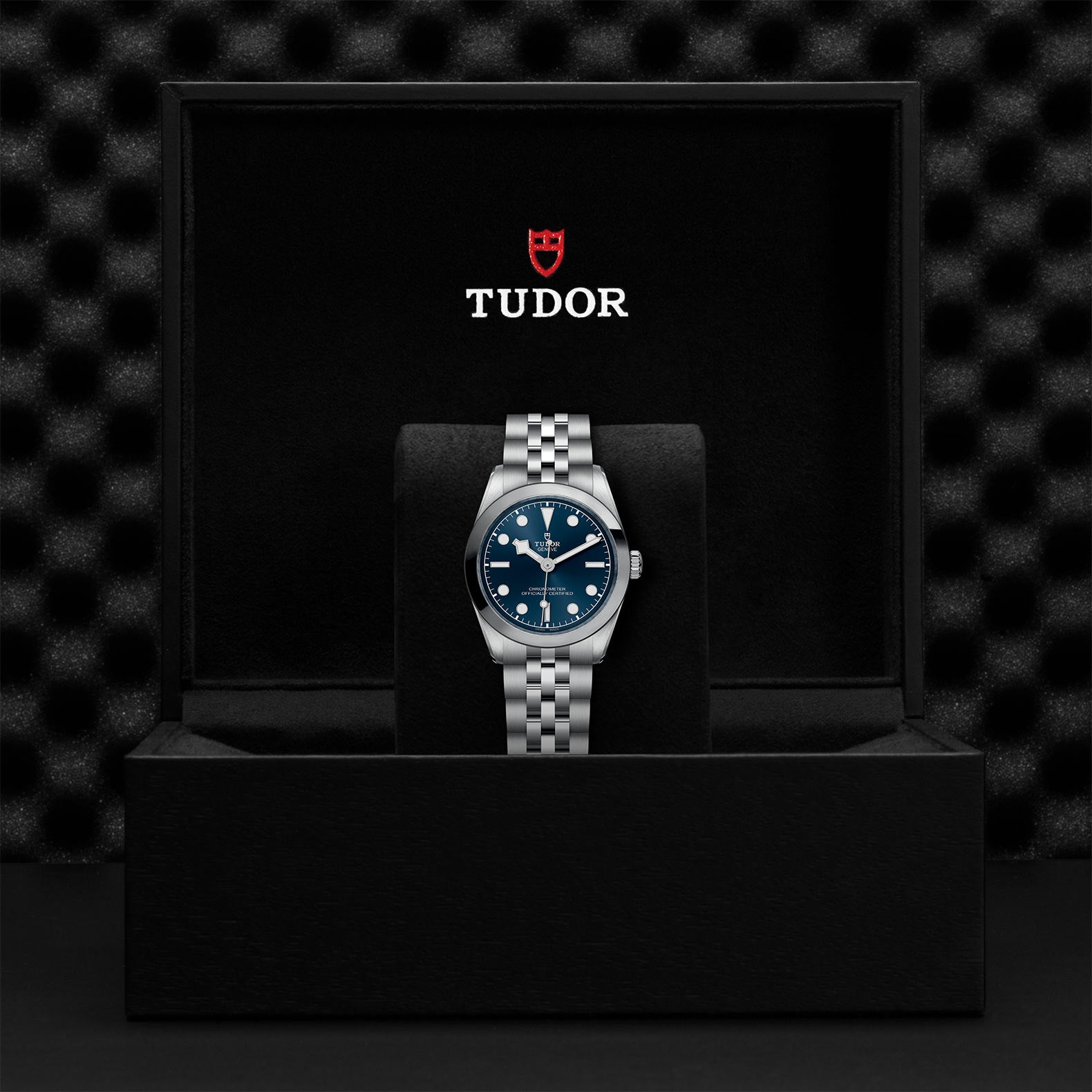 TUDOR Black Bay 31 with 31mm Steel Case and Steel Bracelet