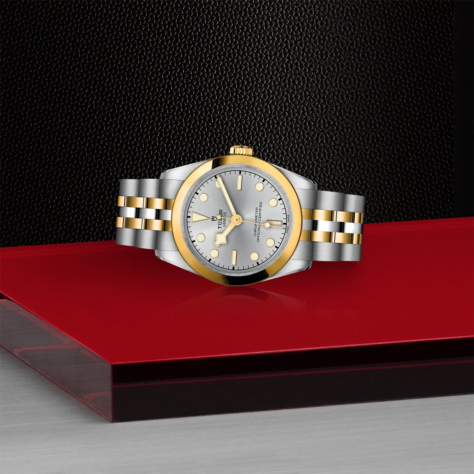 TUDOR Black Bay 31 S&G with 31mm Steel Case and Steel And Yellow Gold Bracelet