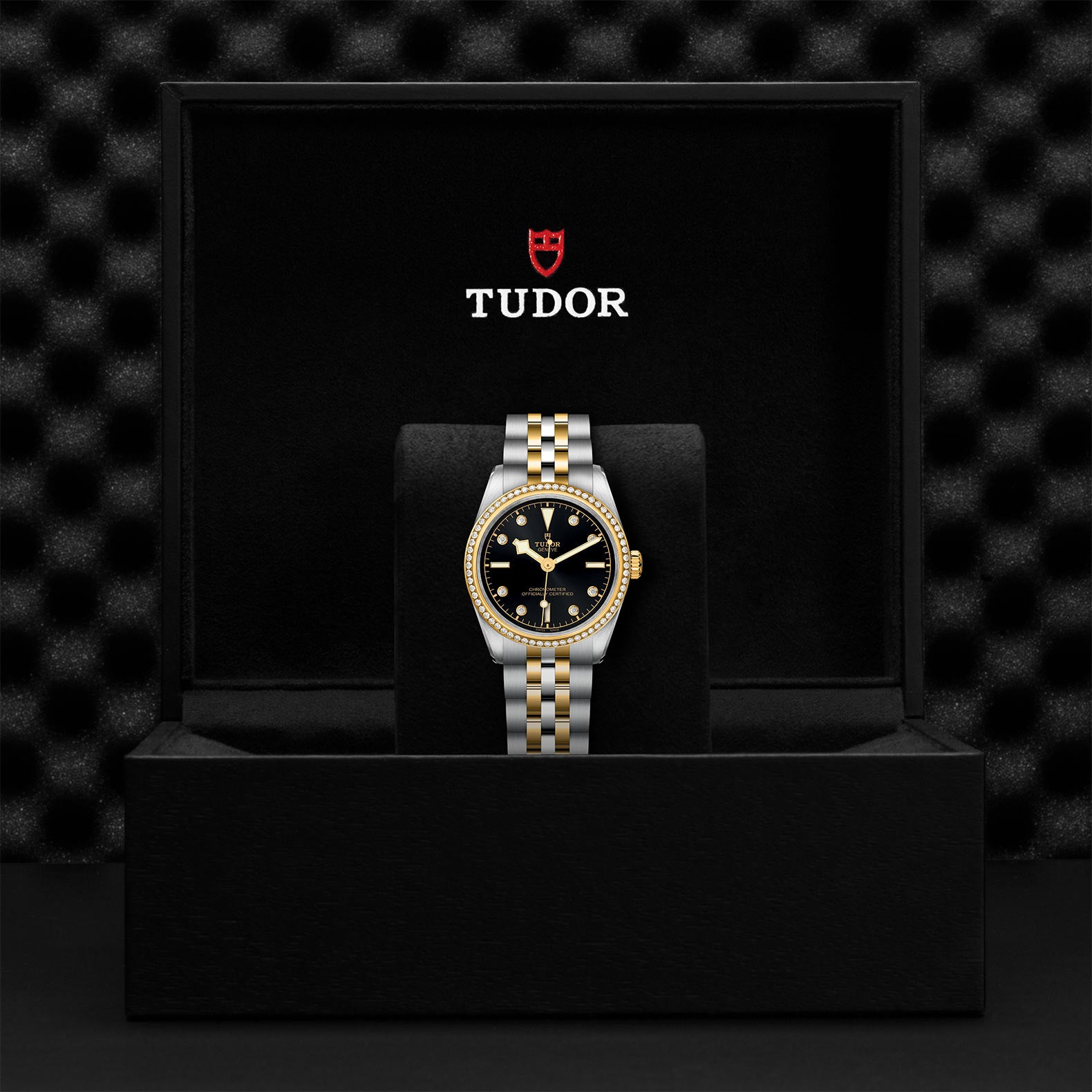 TUDOR Black Bay 31 S&G with 31mm Steel Case and Steel And Yellow Gold Bracelet