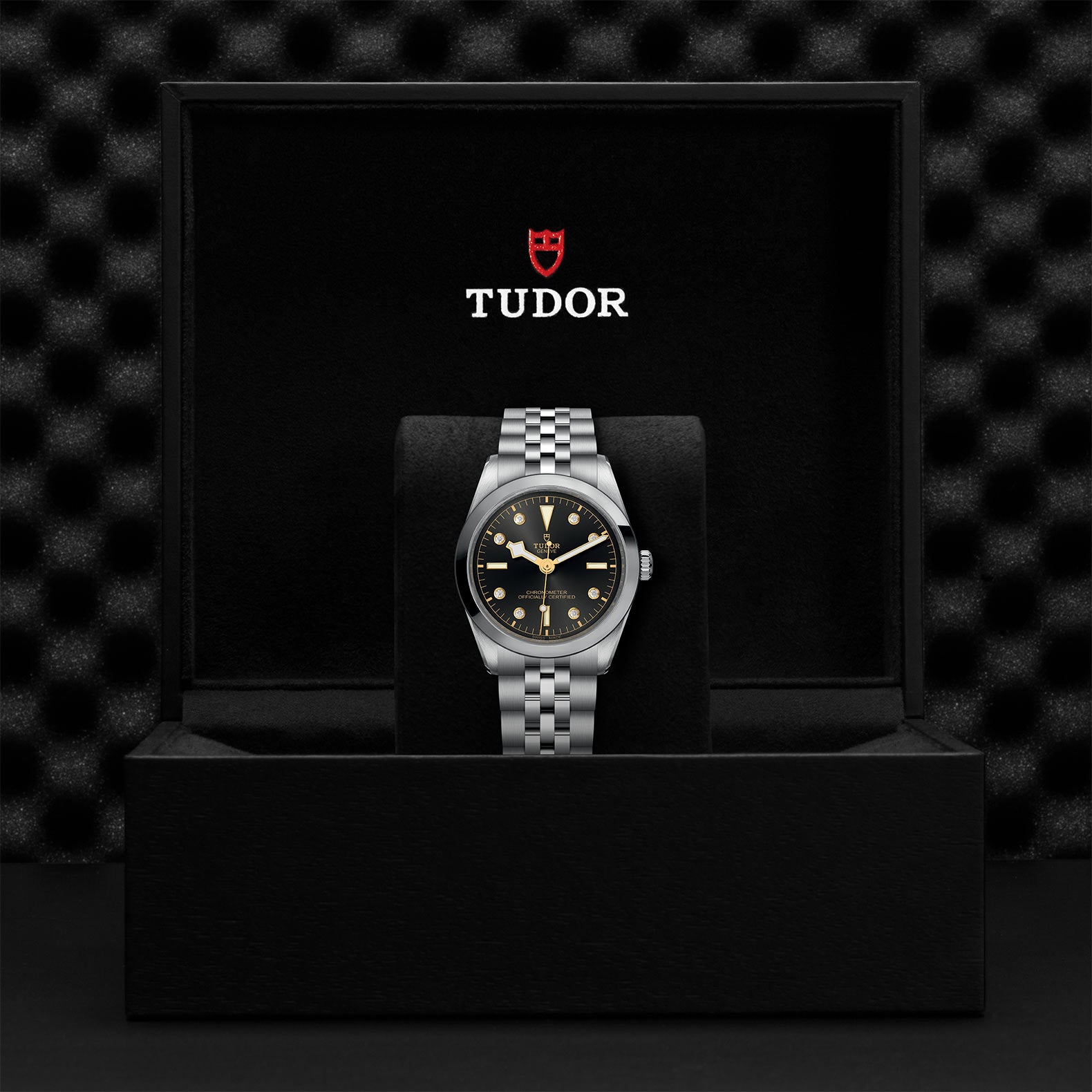 TUDOR Black Bay 36 with 36mm Steel Case and Steel Bracelet