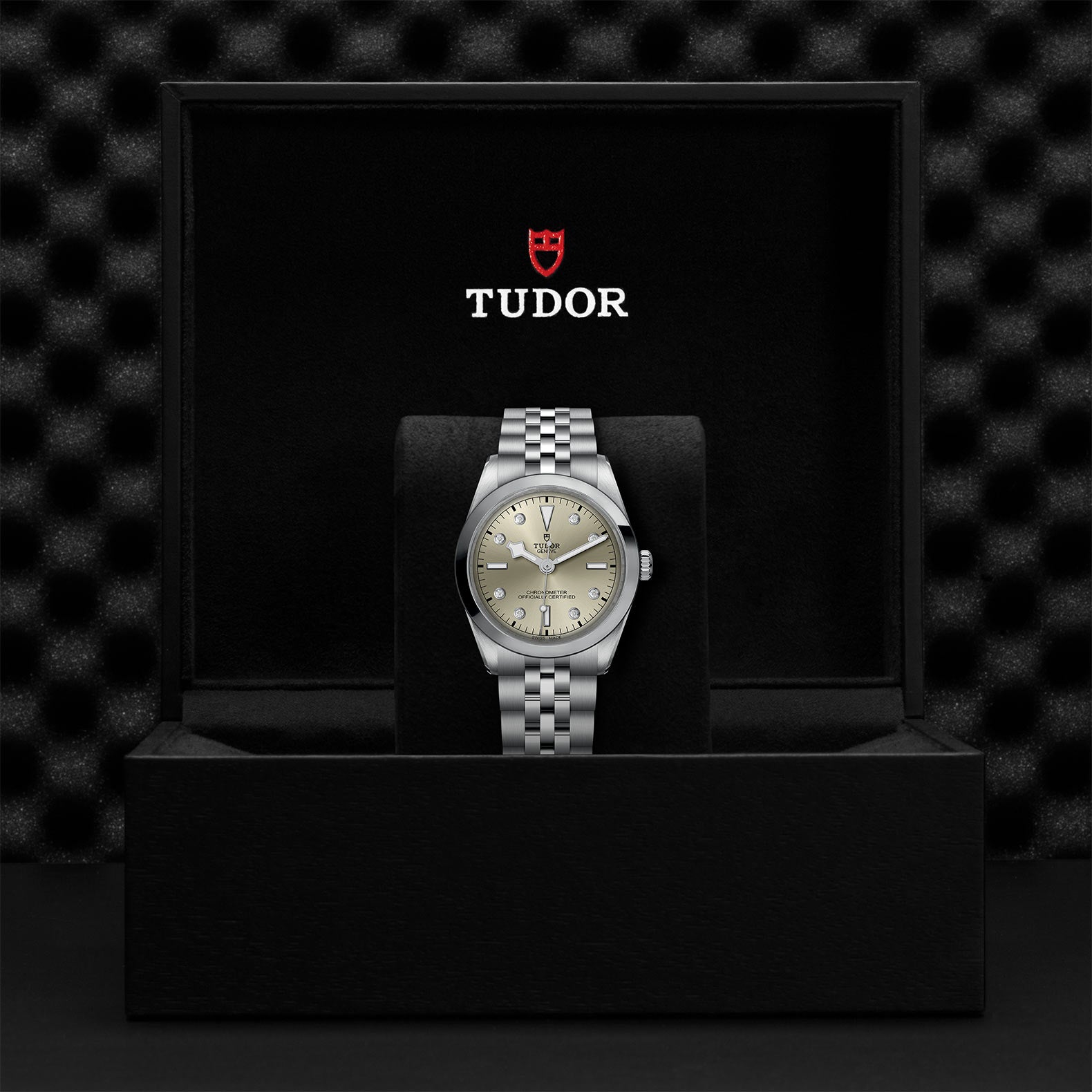 TUDOR Black Bay 36 with 36mm Steel Case and Steel Bracelet