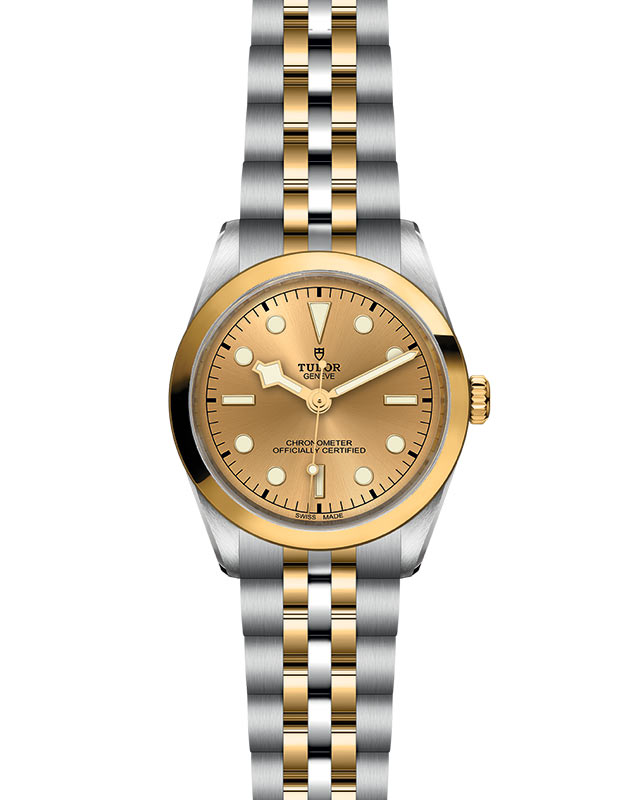 TUDOR Black Bay 36 S&G with 36mm Steel Case and Steel And Yellow Gold Bracelet