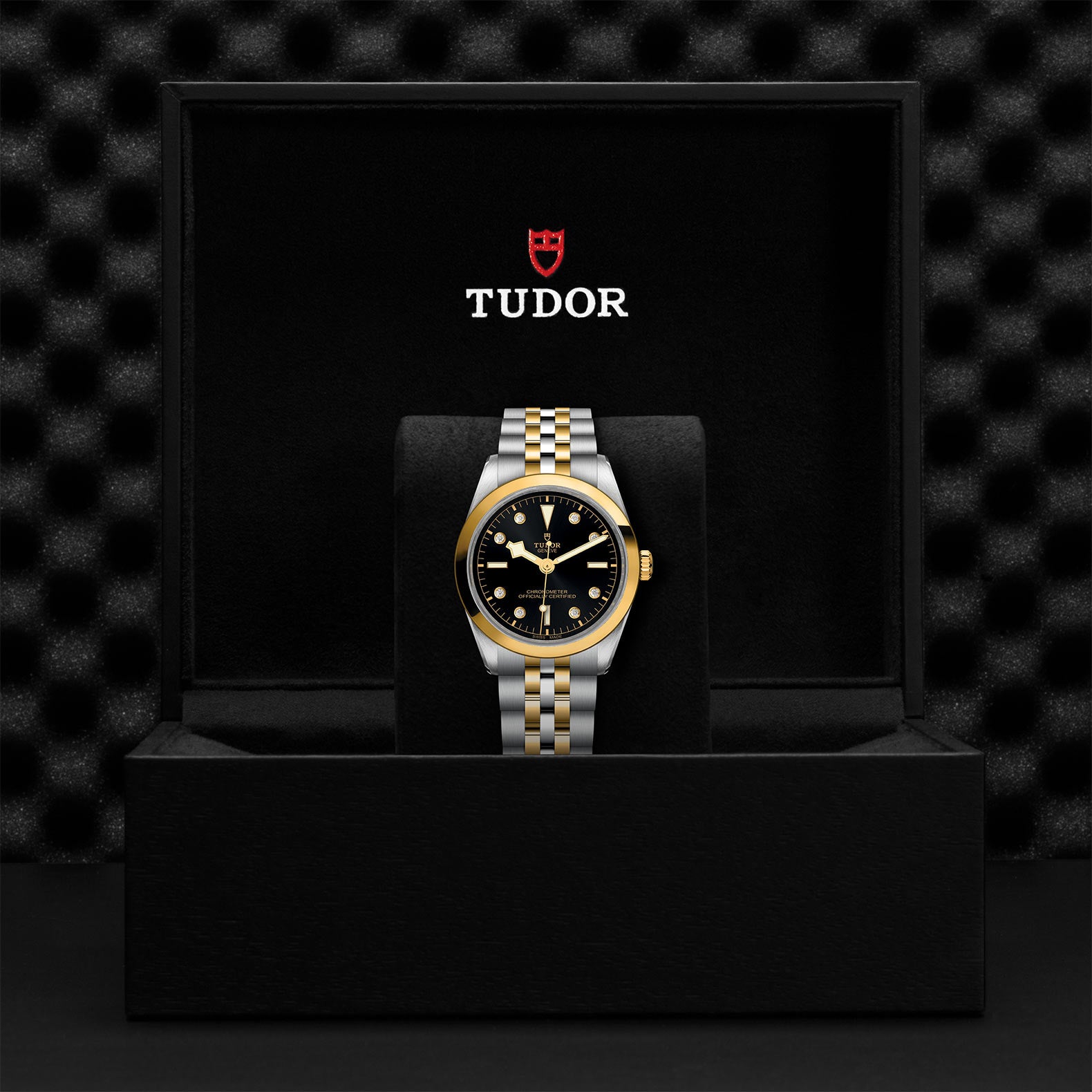 TUDOR Black Bay 36 S&G with 36mm Steel Case and Steel And Yellow Gold Bracelet