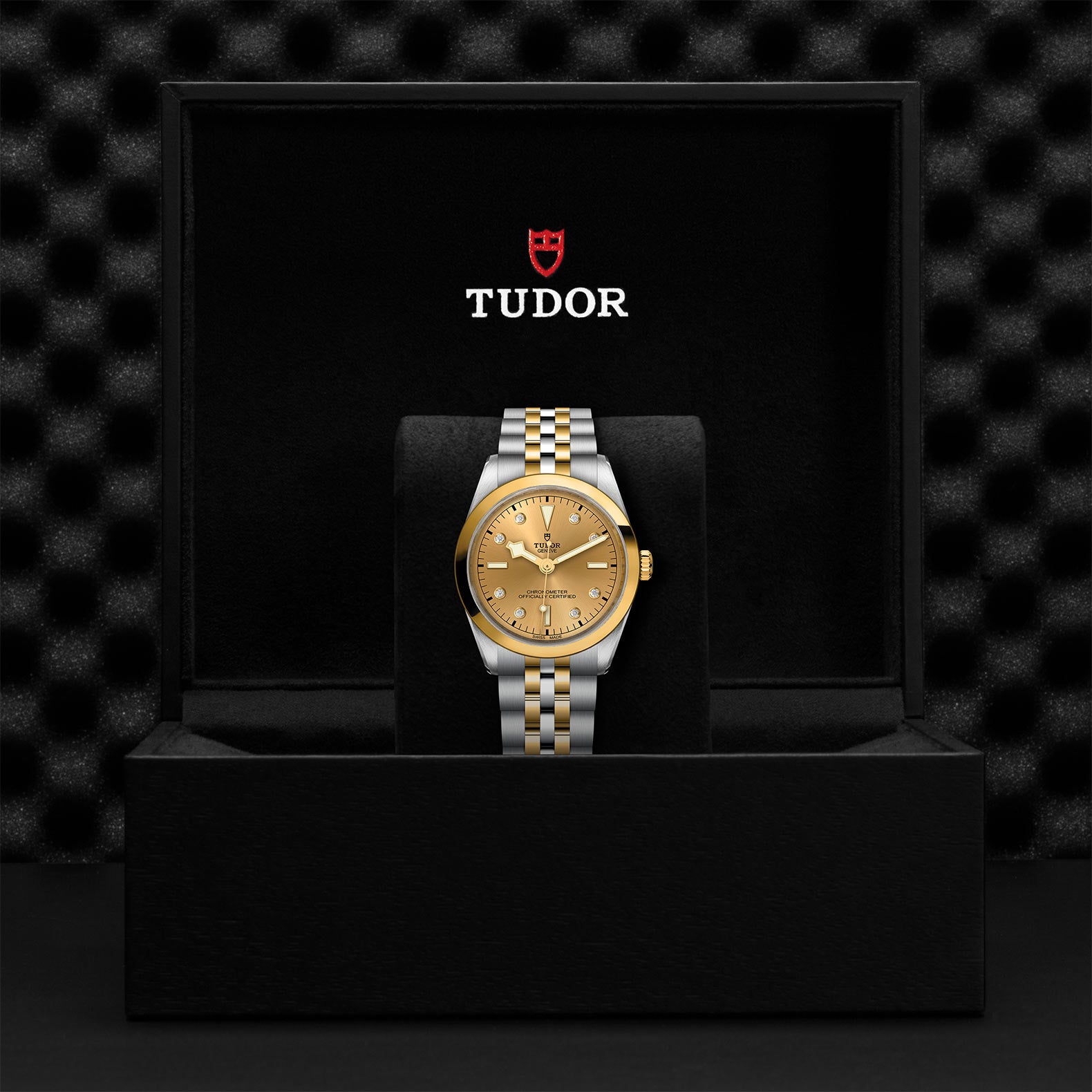TUDOR Black Bay 36 S&G with 36mm Steel Case and Steel And Yellow Gold Bracelet