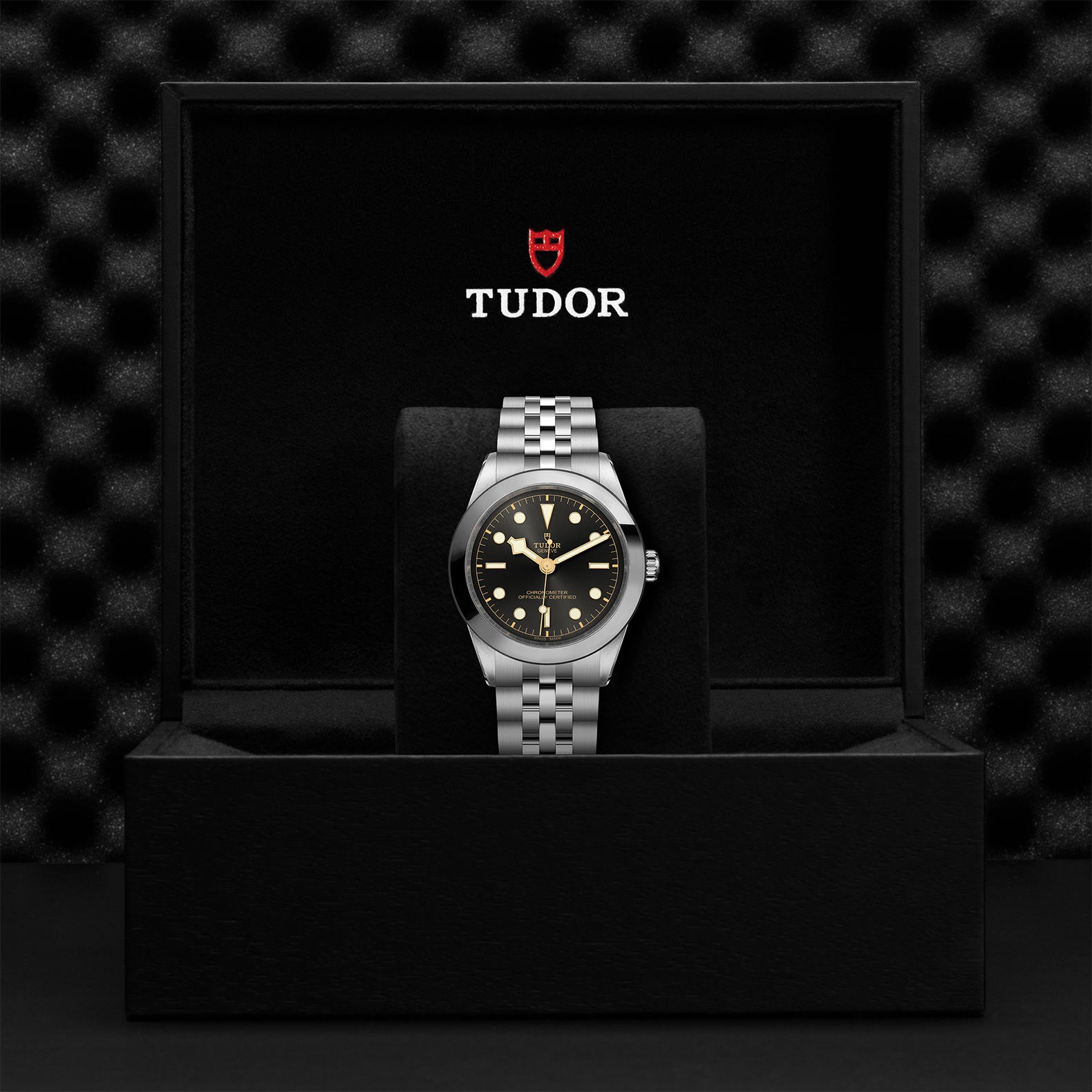 TUDOR Black Bay 39 with 39mm Steel Case and Steel Bracelet
