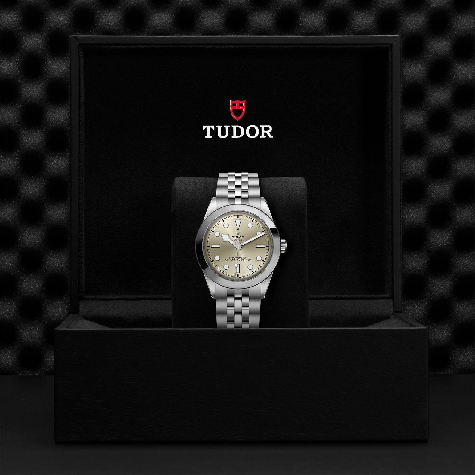 TUDOR Black Bay 39 with 39mm Steel Case and Steel Bracelet