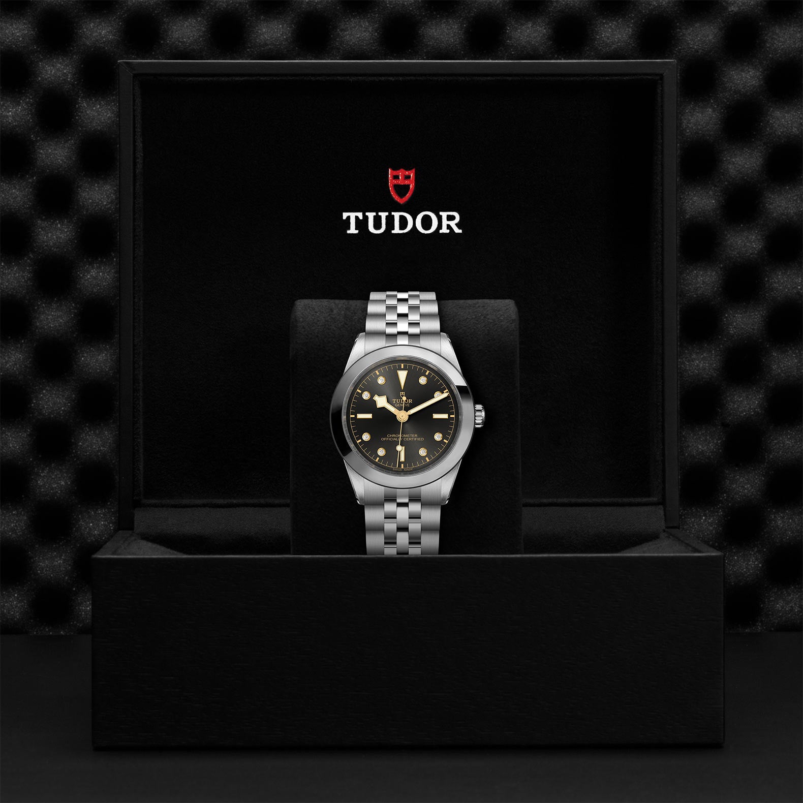 TUDOR Black Bay 39 with 39mm Steel Case and Steel Bracelet