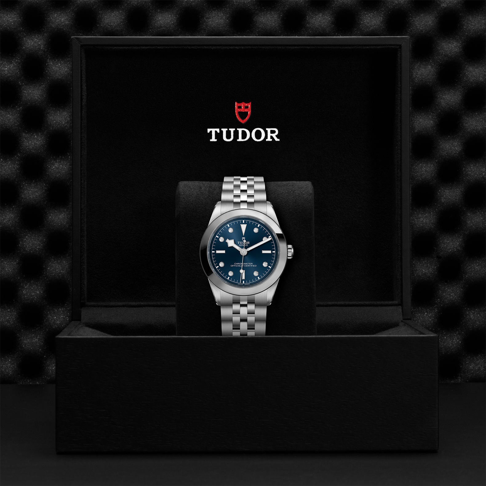 TUDOR Black Bay 39 with 39mm Steel Case and Steel Bracelet
