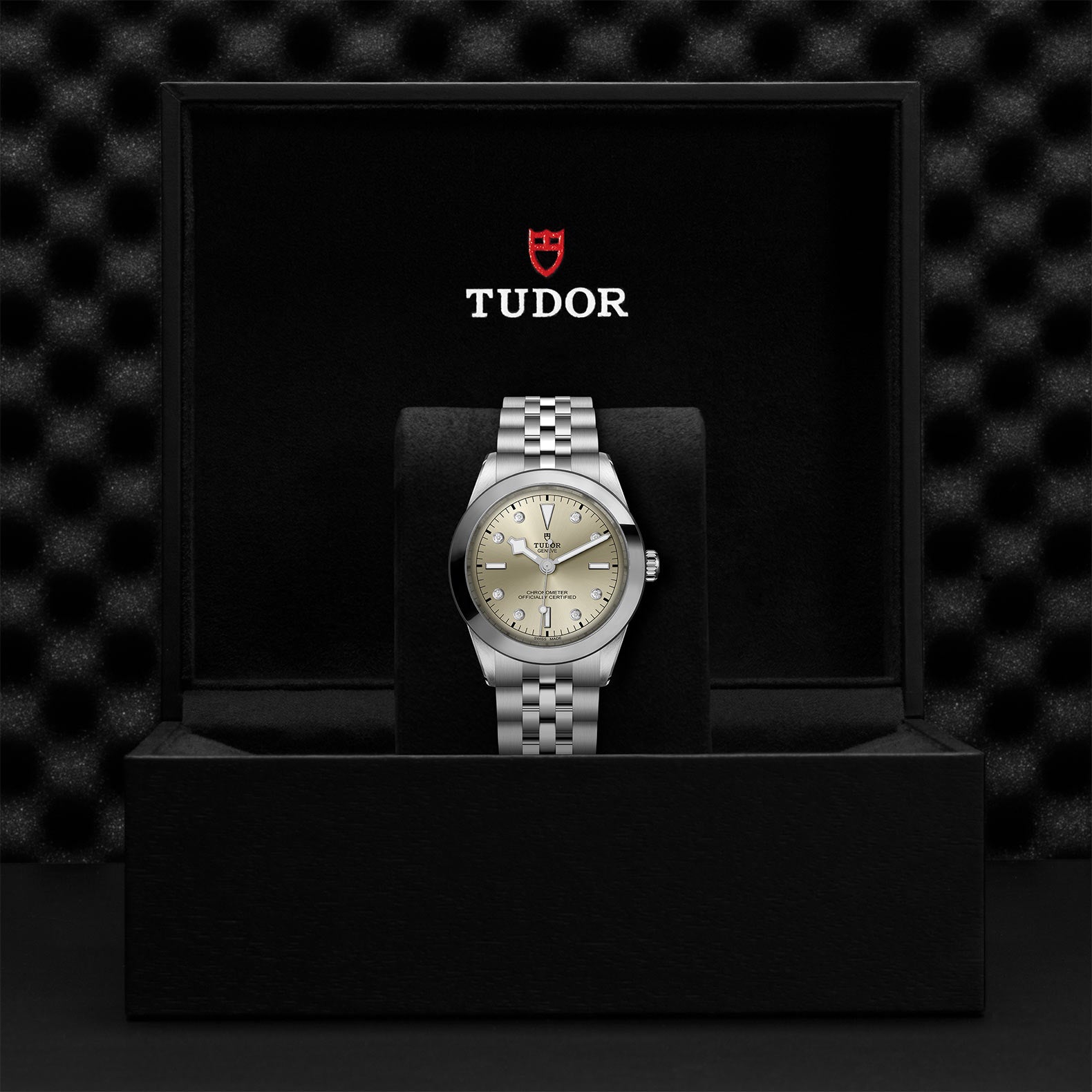 TUDOR Black Bay 39 with 39mm Steel Case and Steel Bracelet