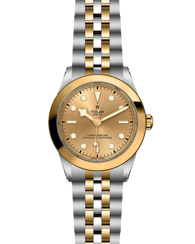 TUDOR Black Bay 39 S&G with 39mm Steel Case and Steel And Yellow Gold Bracelet