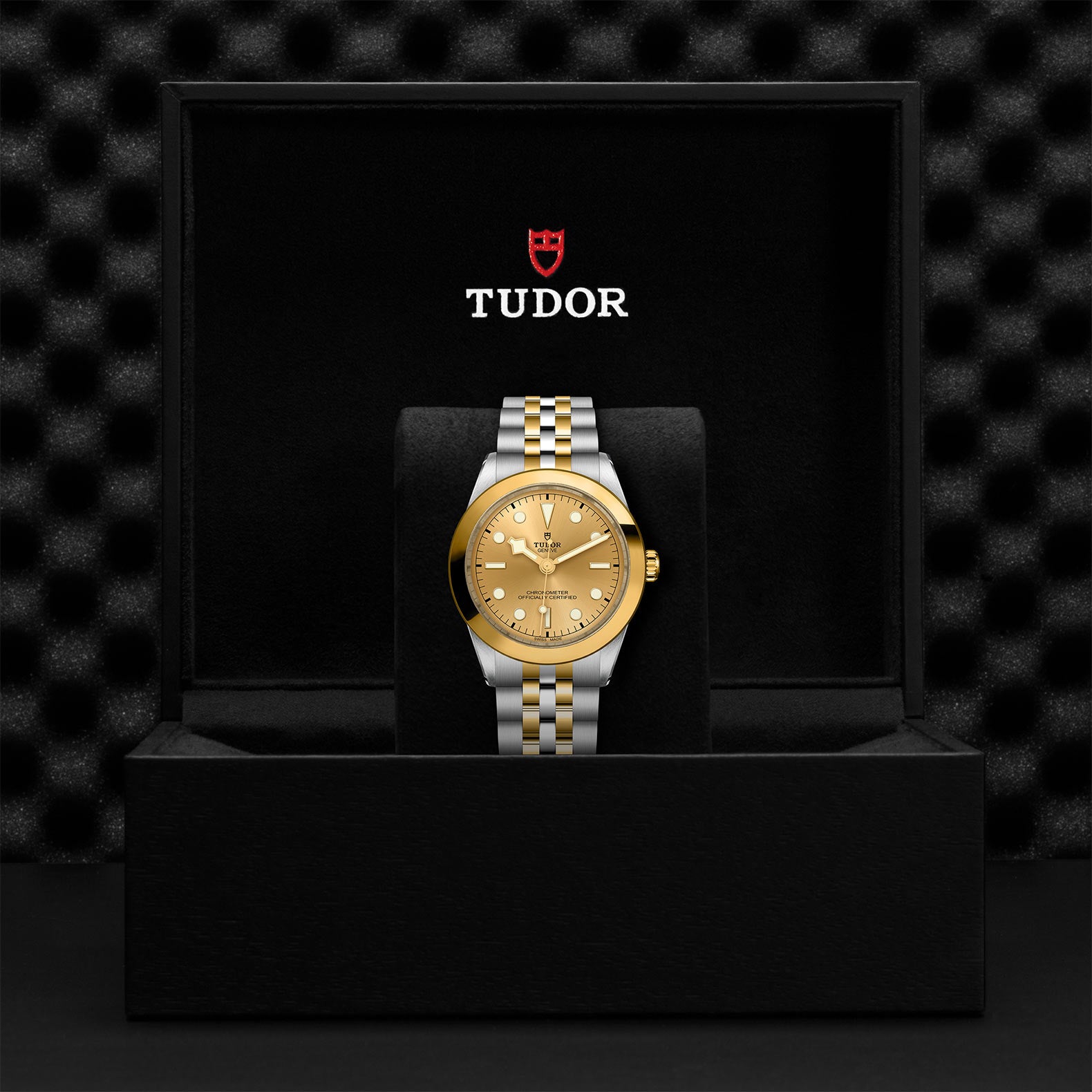 TUDOR Black Bay 39 S&G with 39mm Steel Case and Steel And Yellow Gold Bracelet