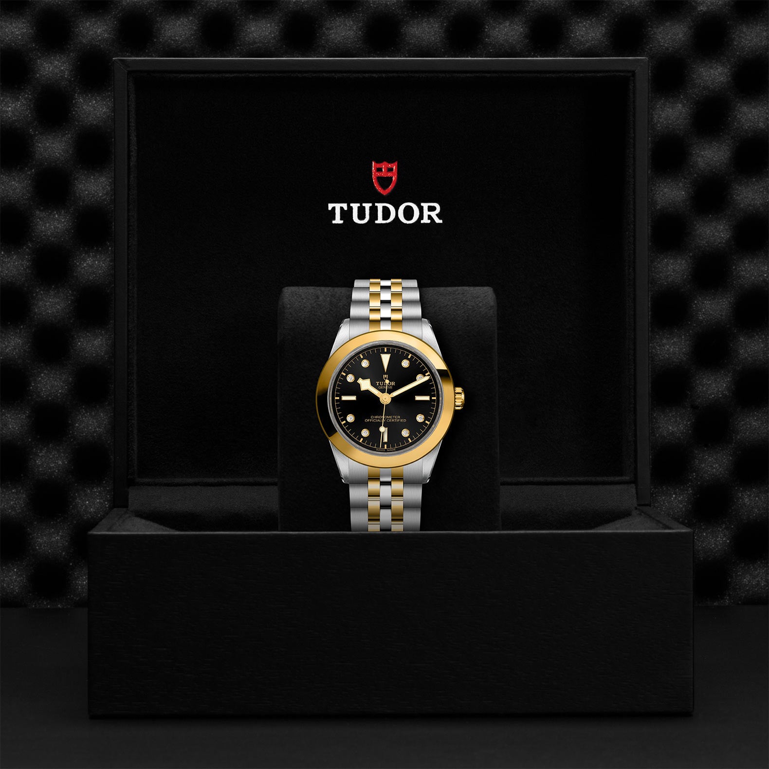 TUDOR Black Bay 39 S&G with 39mm Steel Case and Steel And Yellow Gold Bracelet