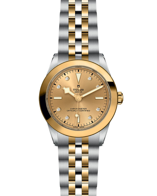 TUDOR Black Bay 39 S&G with 39mm Steel Case and Steel And Yellow Gold Bracelet