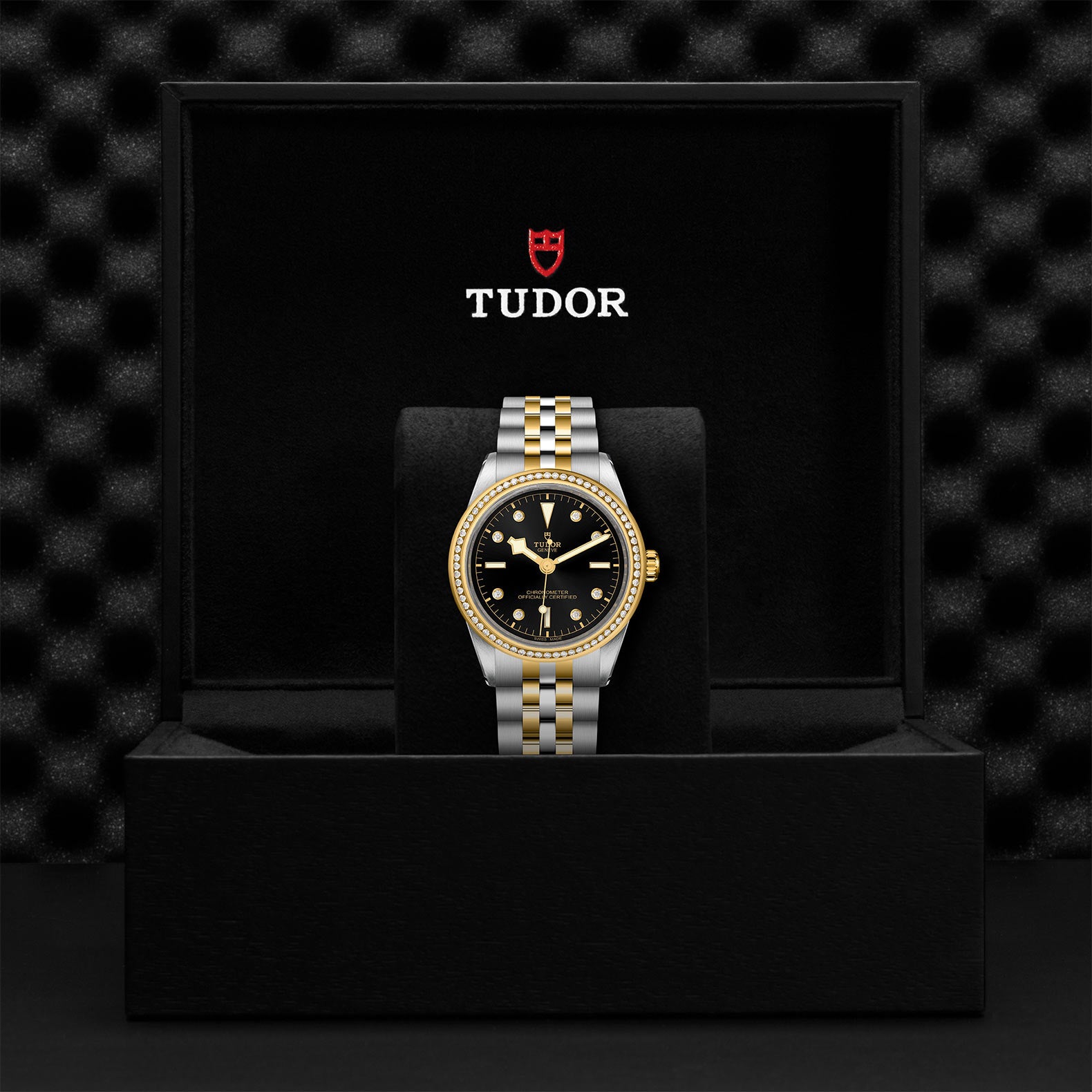 TUDOR Black Bay 39 S&G with 39mm Steel Case and Steel And Yellow Gold Bracelet