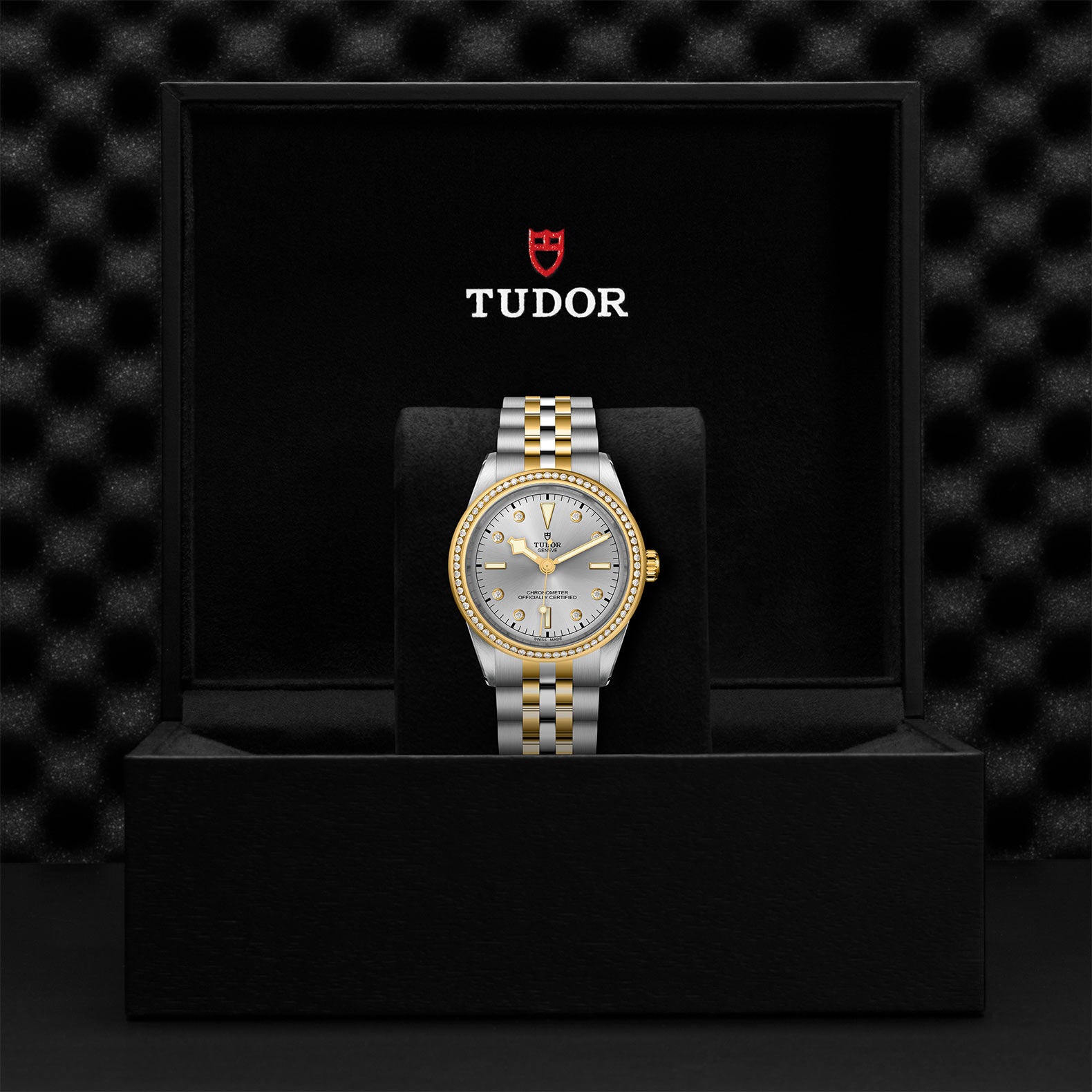 TUDOR Black Bay 39 S&G with 39mm Steel Case and Steel And Yellow Gold Bracelet