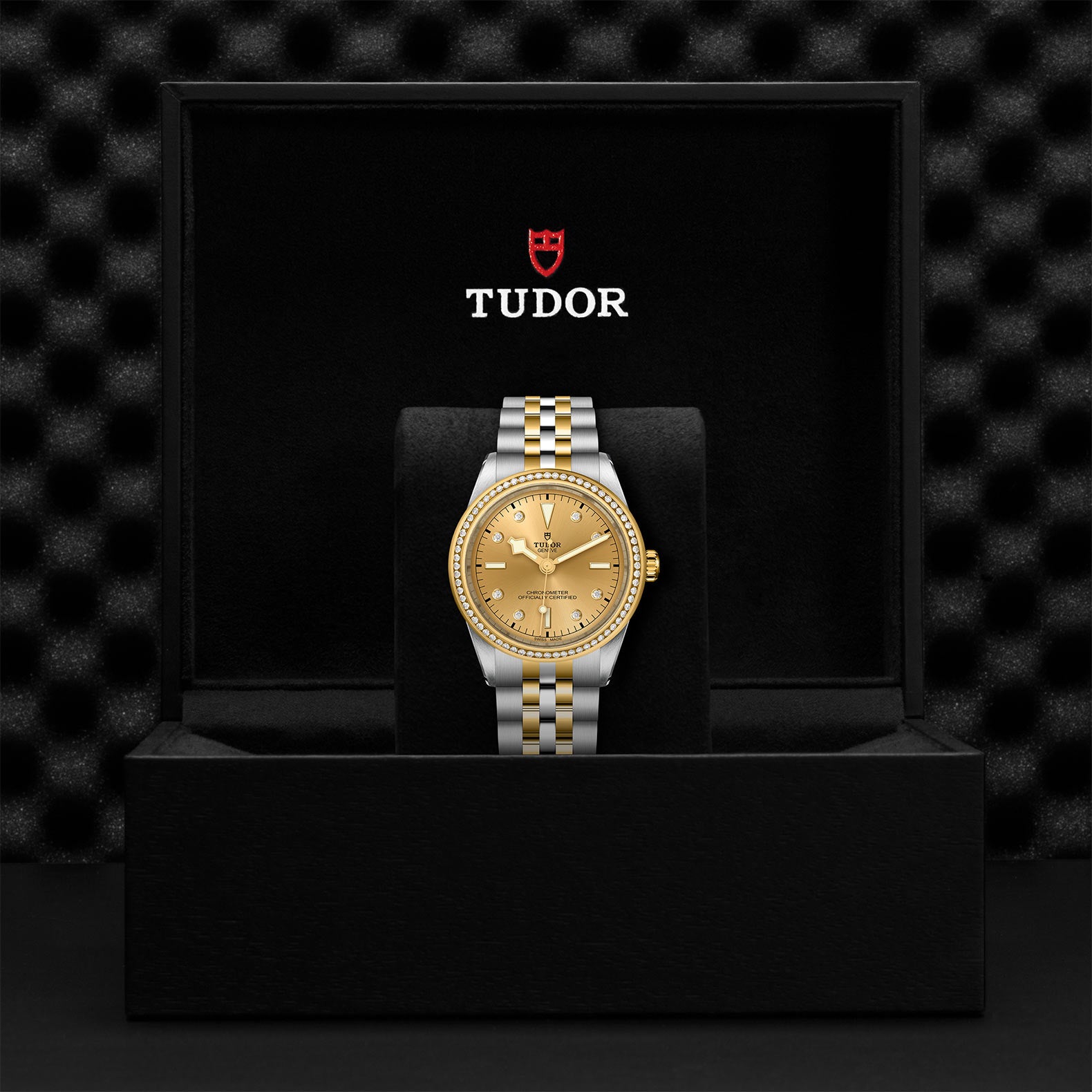 TUDOR Black Bay 39 S&G with 39mm Steel Case and Steel And Yellow Gold Bracelet
