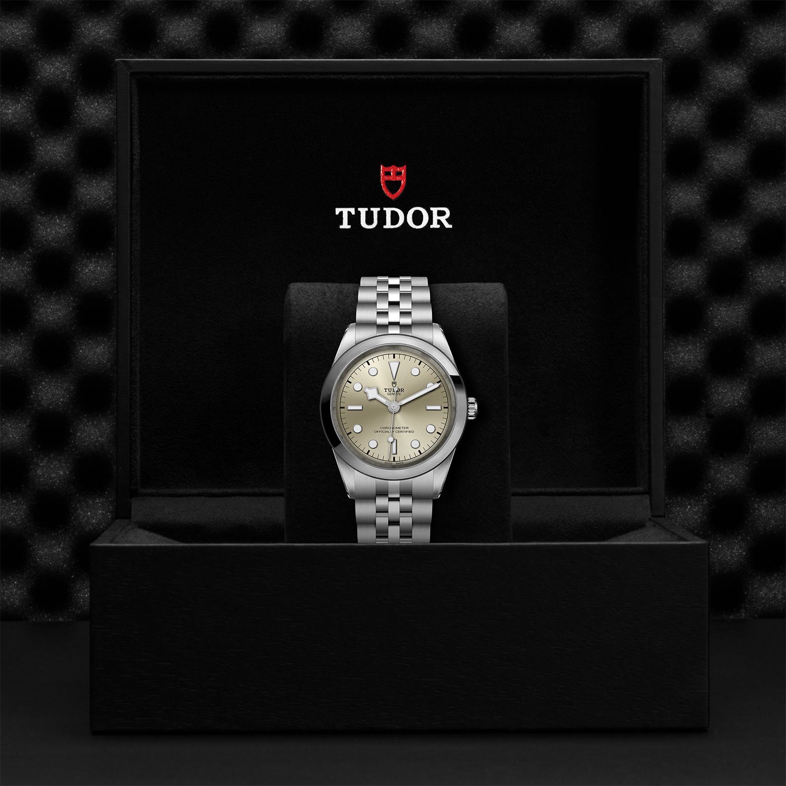TUDOR Black Bay 41 with 41mm Steel Case and Steel Bracelet
