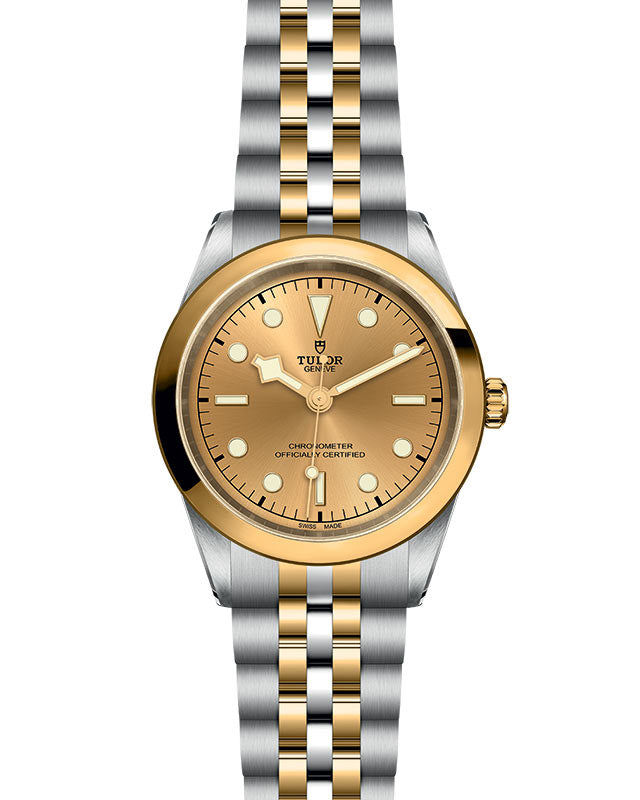 TUDOR Black Bay 41 S&G with 41mm Steel Case and Steel And Yellow Gold Bracelet