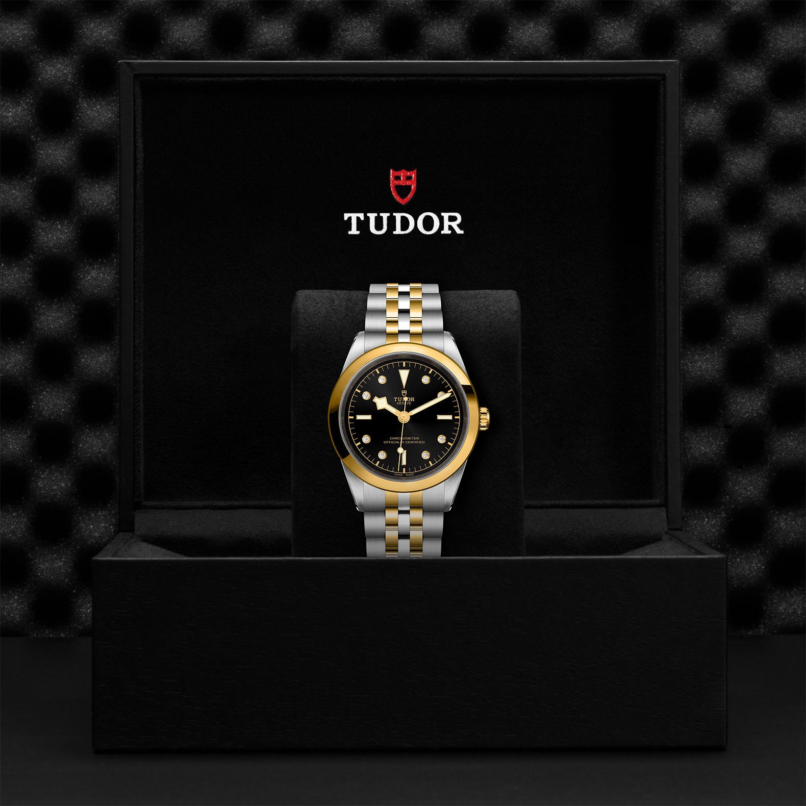 TUDOR Black Bay 41 S&G with 41mm Steel Case and Steel And Yellow Gold Bracelet