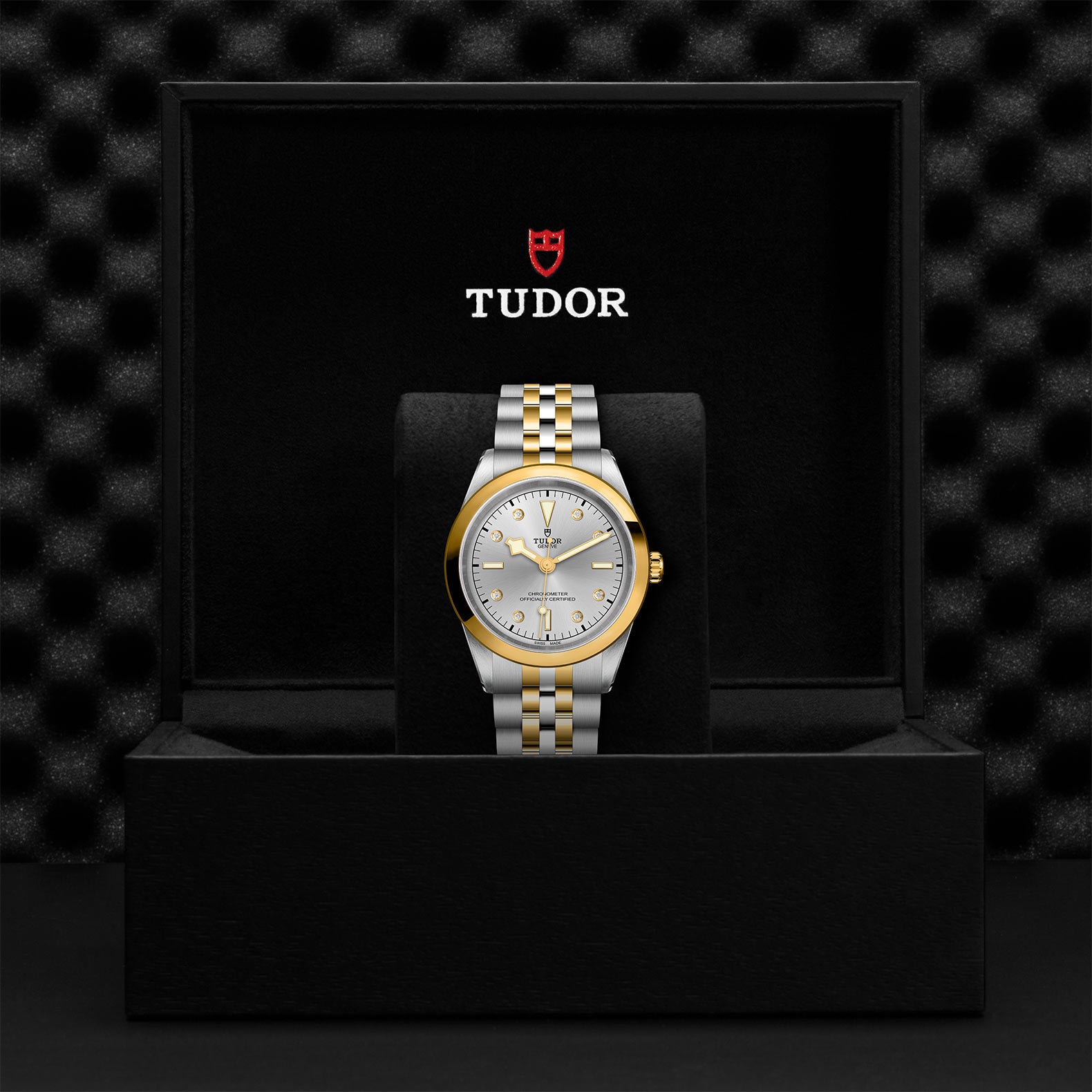 TUDOR Black Bay 41 S&G with 41mm Steel Case and Steel And Yellow Gold Bracelet