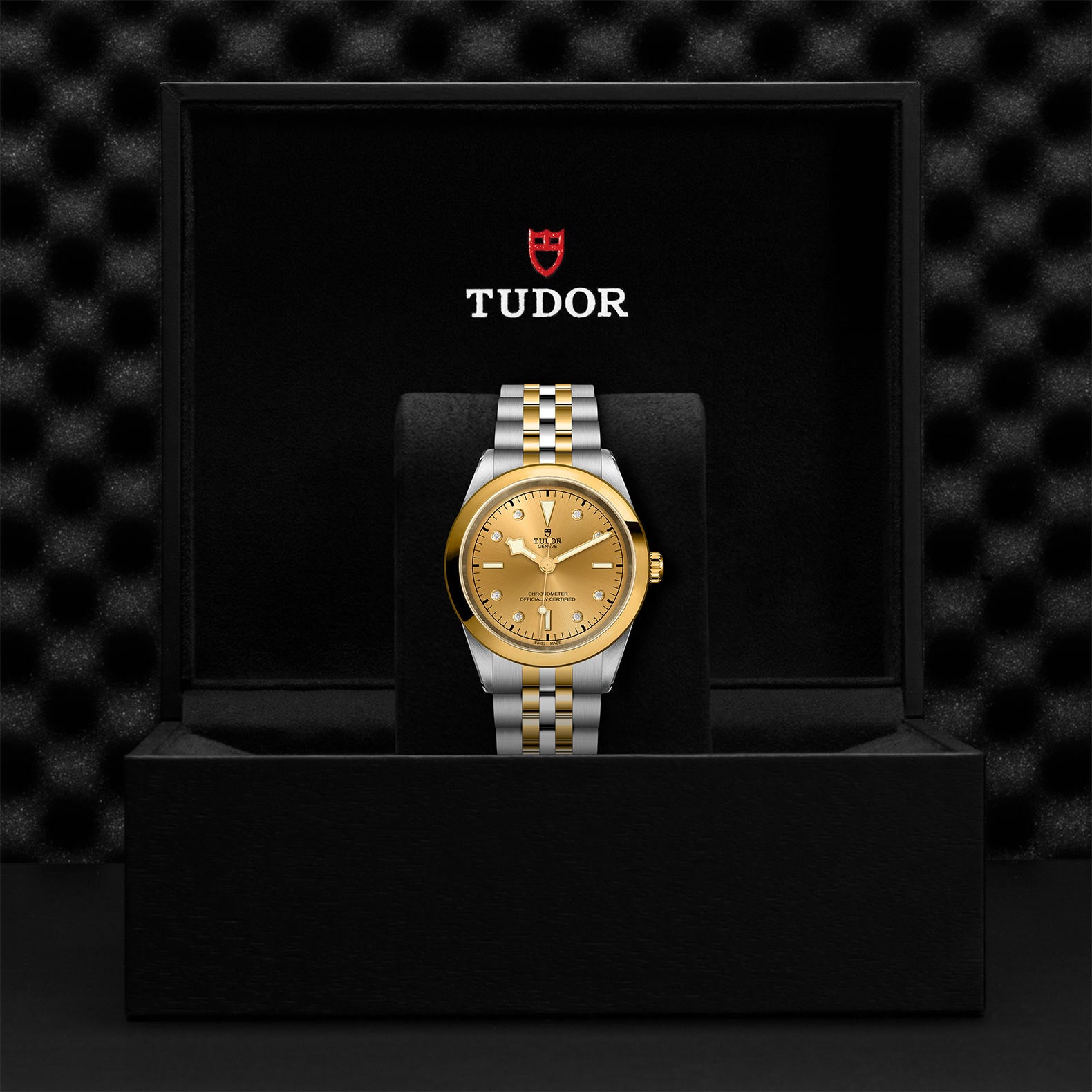 TUDOR Black Bay 41 S&G with 41mm Steel Case and Steel And Yellow Gold Bracelet