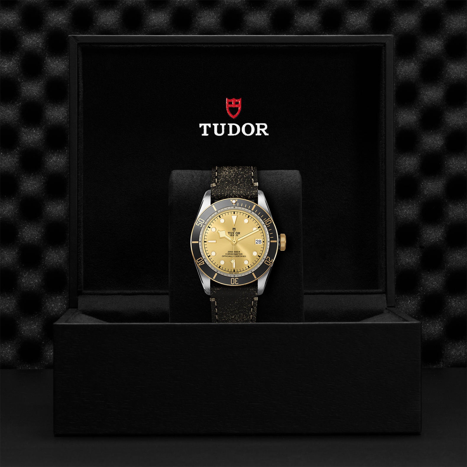 TUDOR Black Bay S&G with 41mm Steel Case and Aged Leather Strap