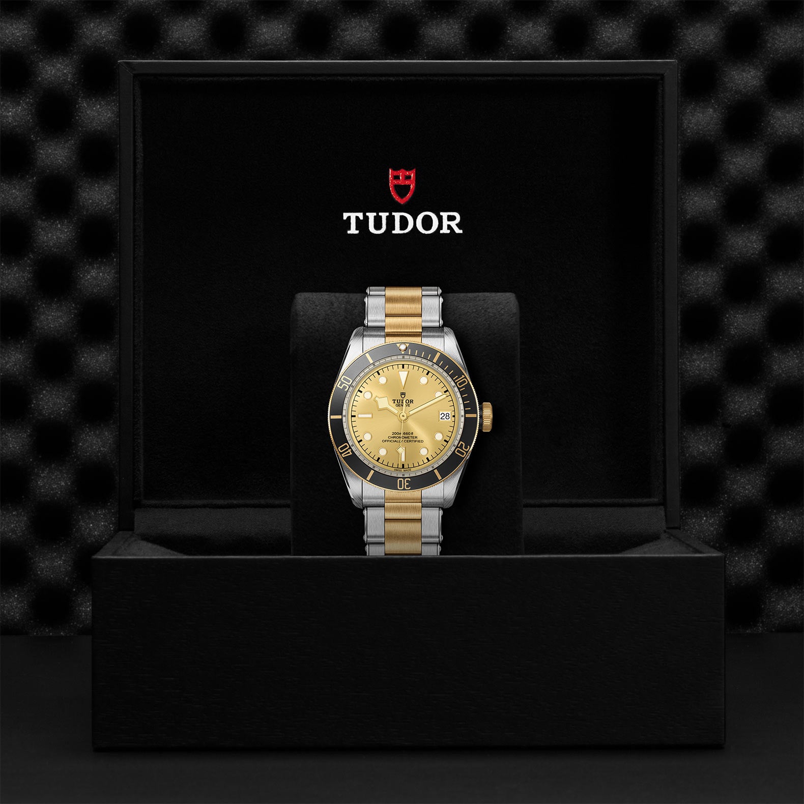 TUDOR Black Bay S&G with 41mm Steel Case and Steel And Yellow Gold Bracelet
