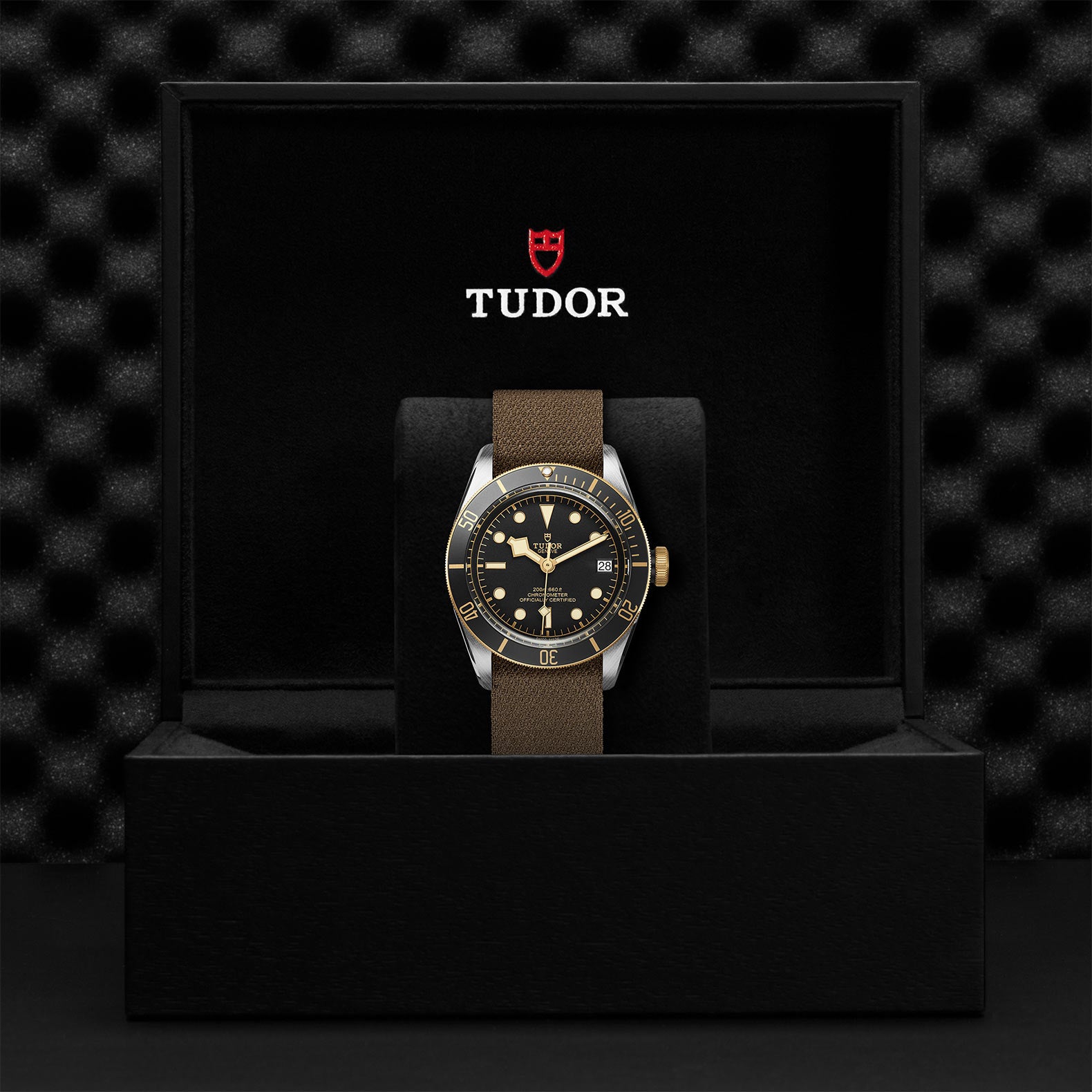TUDOR Black Bay S&G with 41mm Steel Case and Fabric Strap