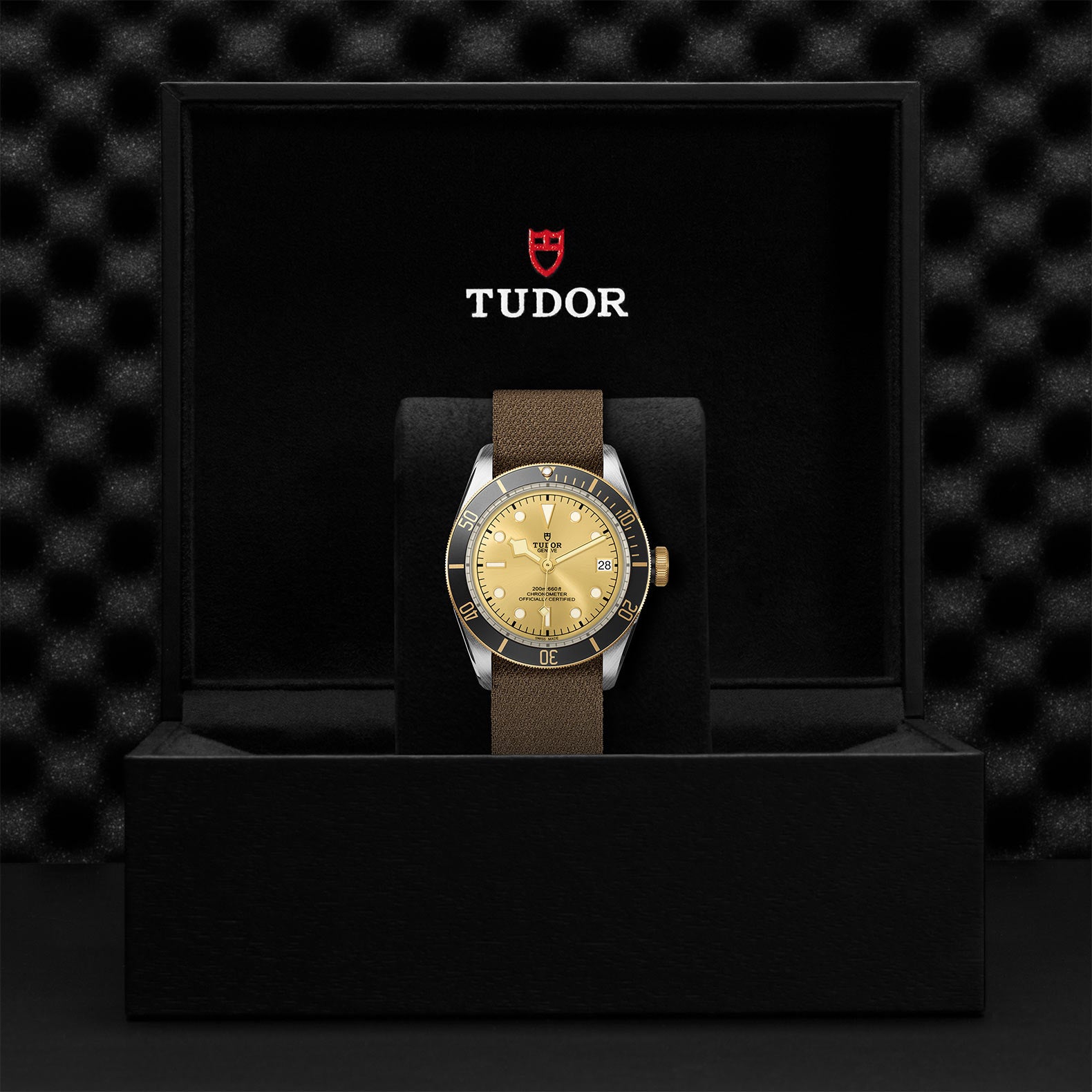 TUDOR Black Bay S&G with 41mm Steel Case and Fabric Strap