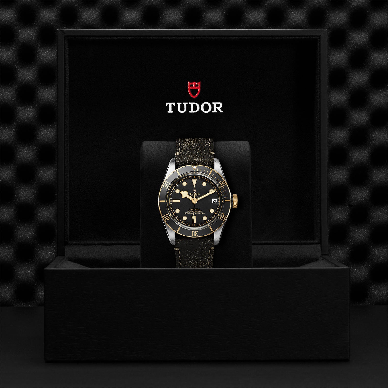 TUDOR Black Bay S&G with 41mm Steel Case and Aged Leather Strap