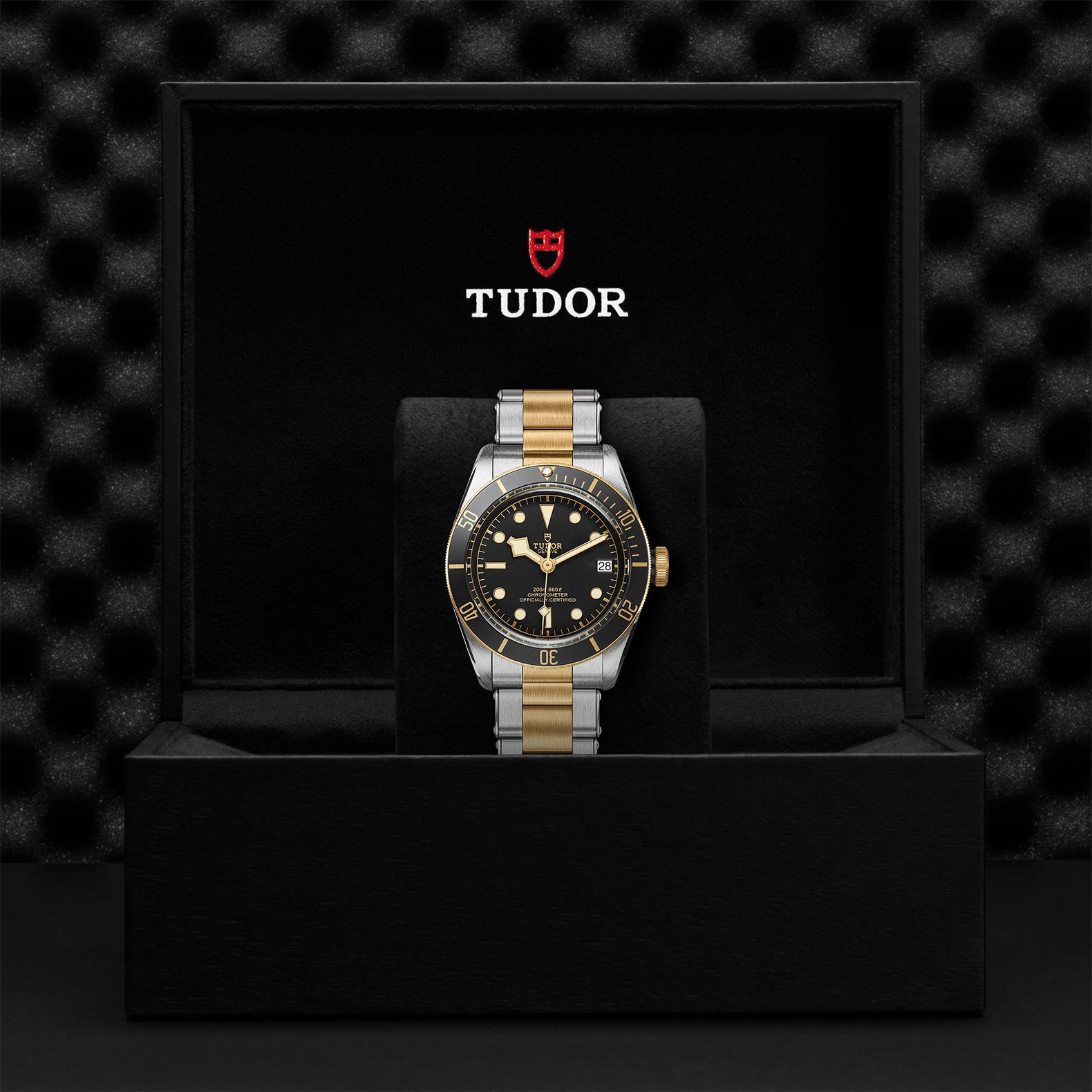 TUDOR Black Bay S&G with 41mm Steel Case and Steel And Yellow Gold Bracelet