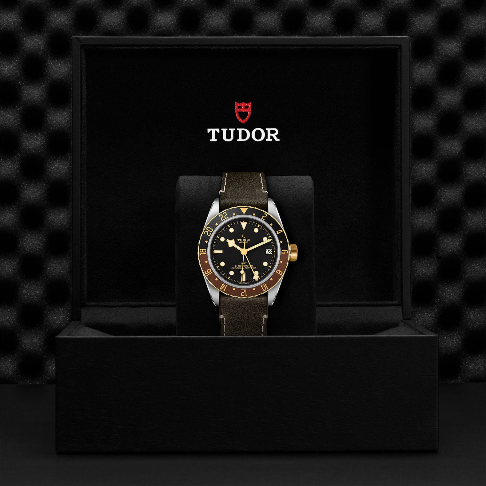 TUDOR Black Bay GMT S&G with 41mm Steel Case and Brown Leather Strap
