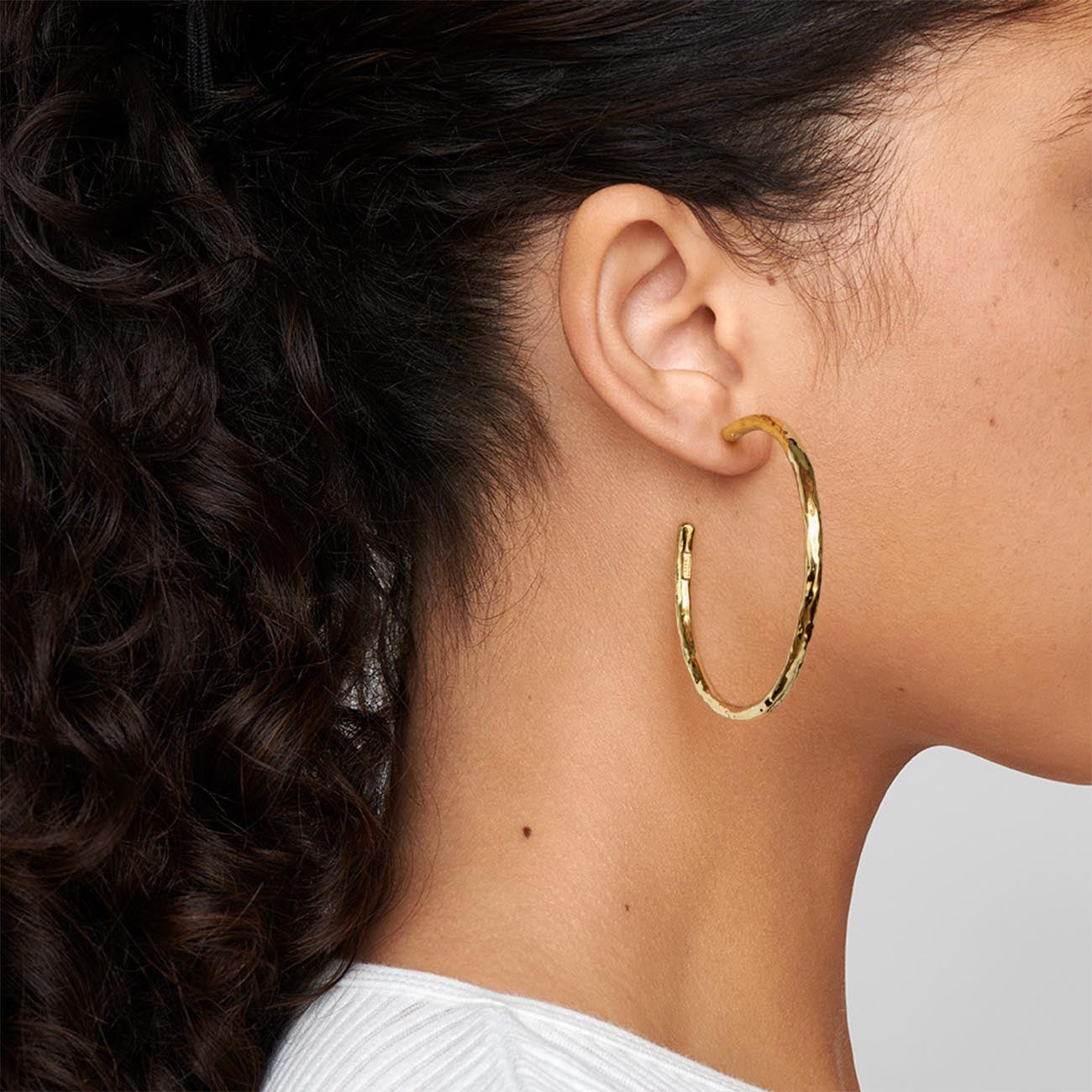 Ippolita Classico Large Hoop Earrings in Yellow Gold