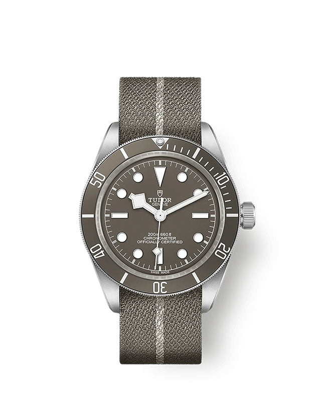 TUDOR Black Bay 58 925 with 39mm Silver Case and Taupe Fabric Strap