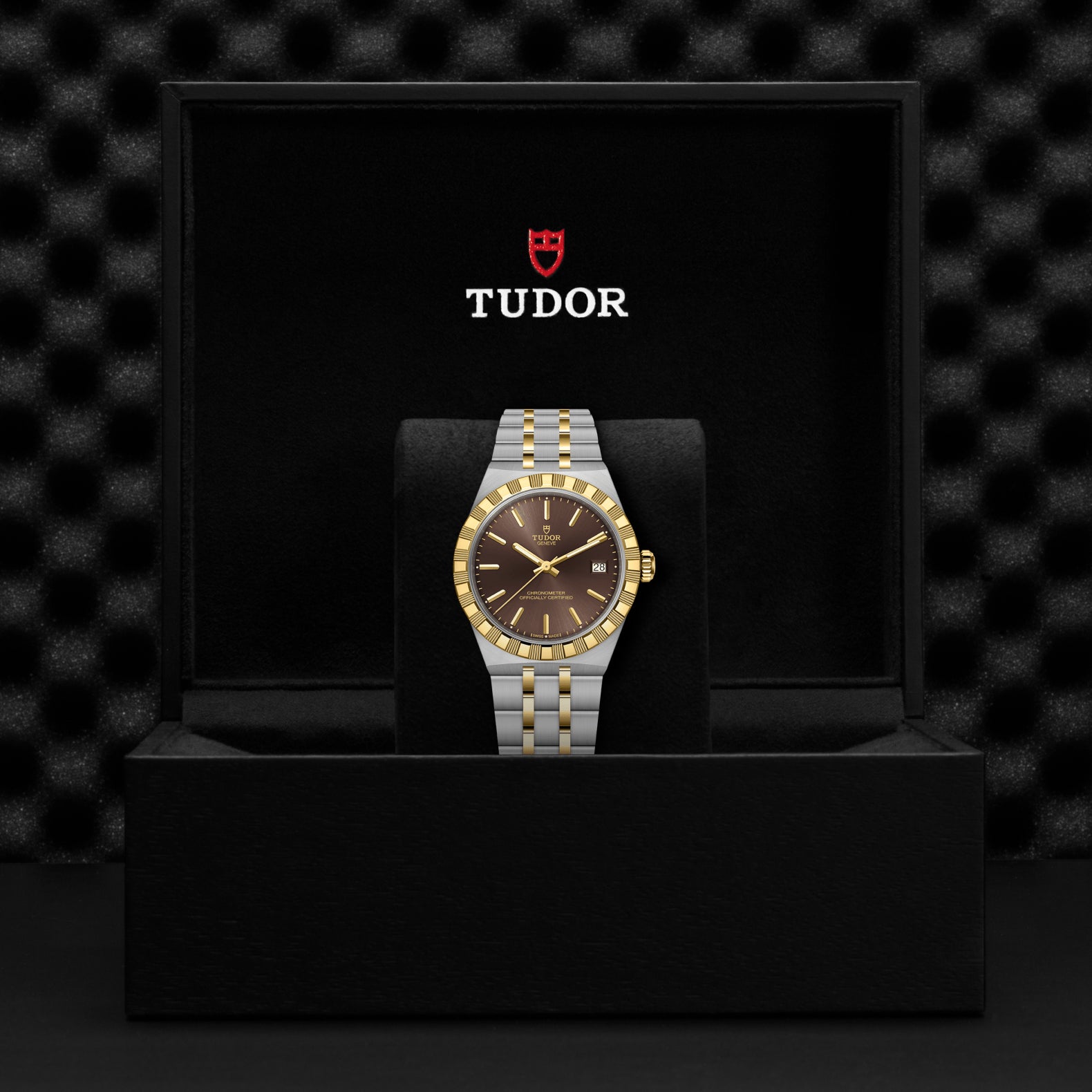 TUDOR Royal with 36mm Steel and Gold with Brown Dial