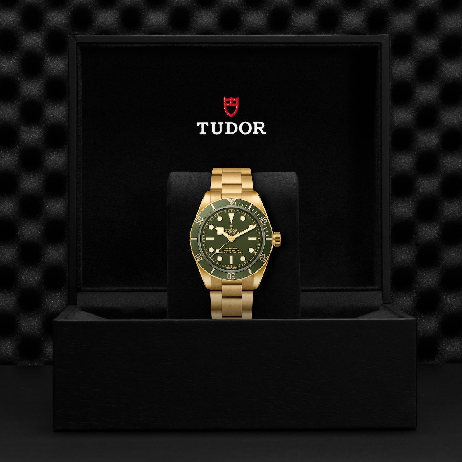 TUDOR Black Bay 58 18K with 39mm Case