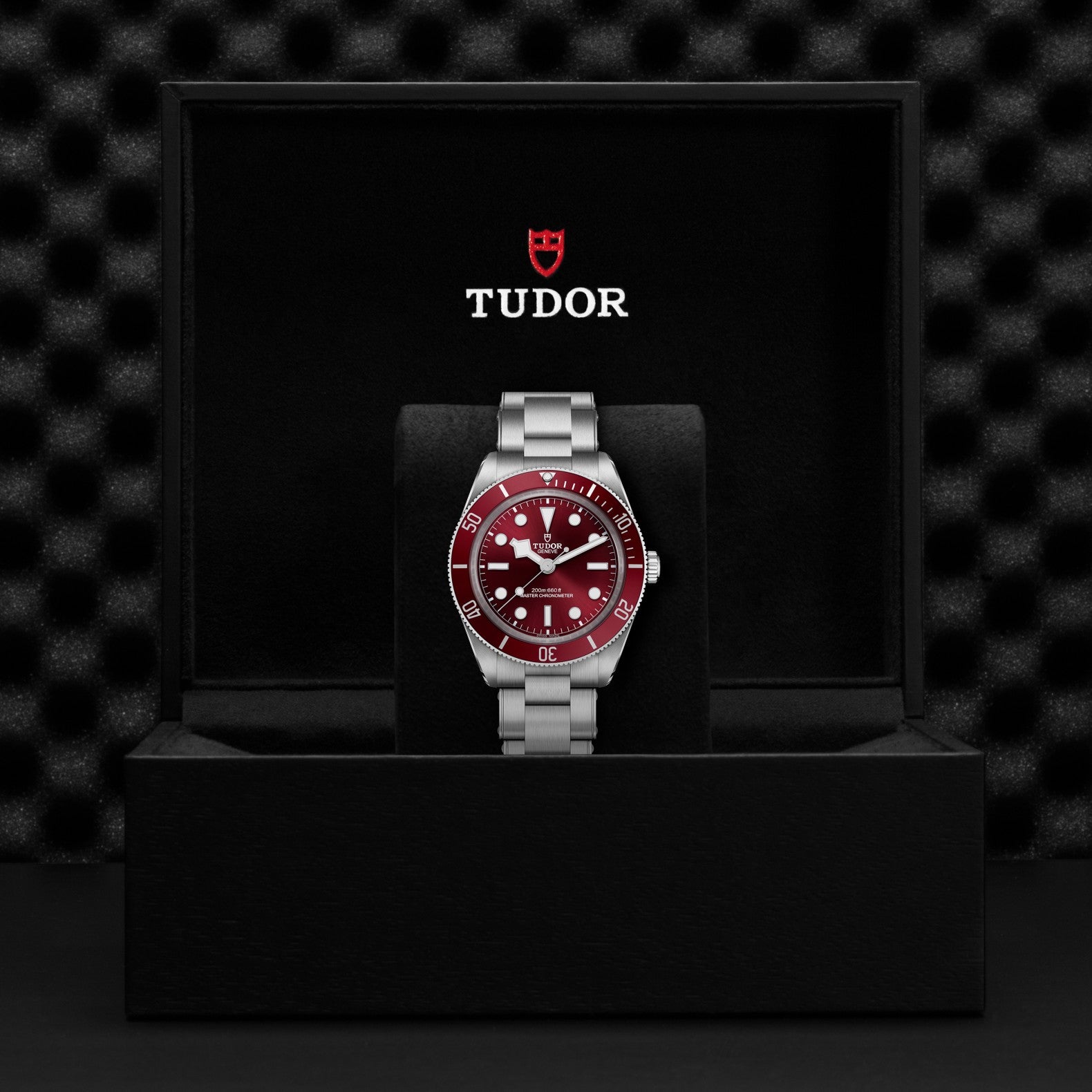 TUDOR Black Bay 58 with Burgundy Dial and 3 Link Bracelet