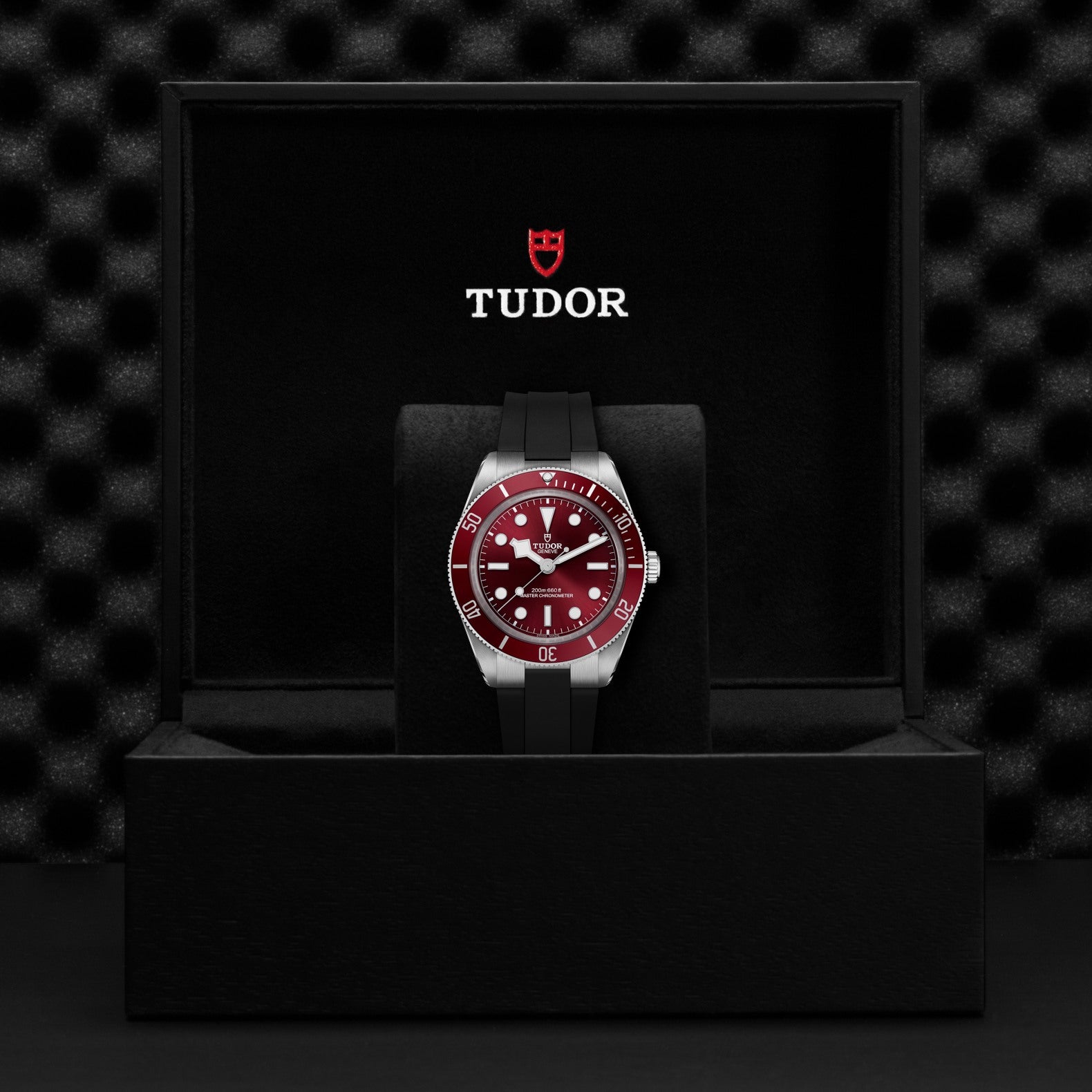 TUDOR Black Bay 58 with Burgundy Dial and Rubber Strap