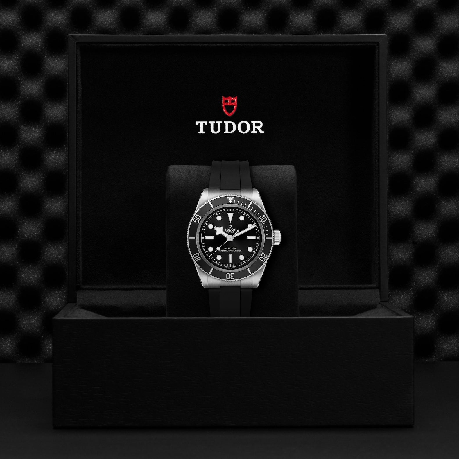 TUDOR Black Bay Monochromatic 41mm Steel Case and Rubber Strap