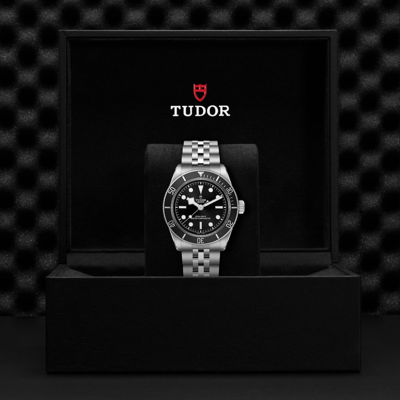 TUDOR Black Bay Monochromatic 41mm Steel Case and 5 Link Steel Bracelet